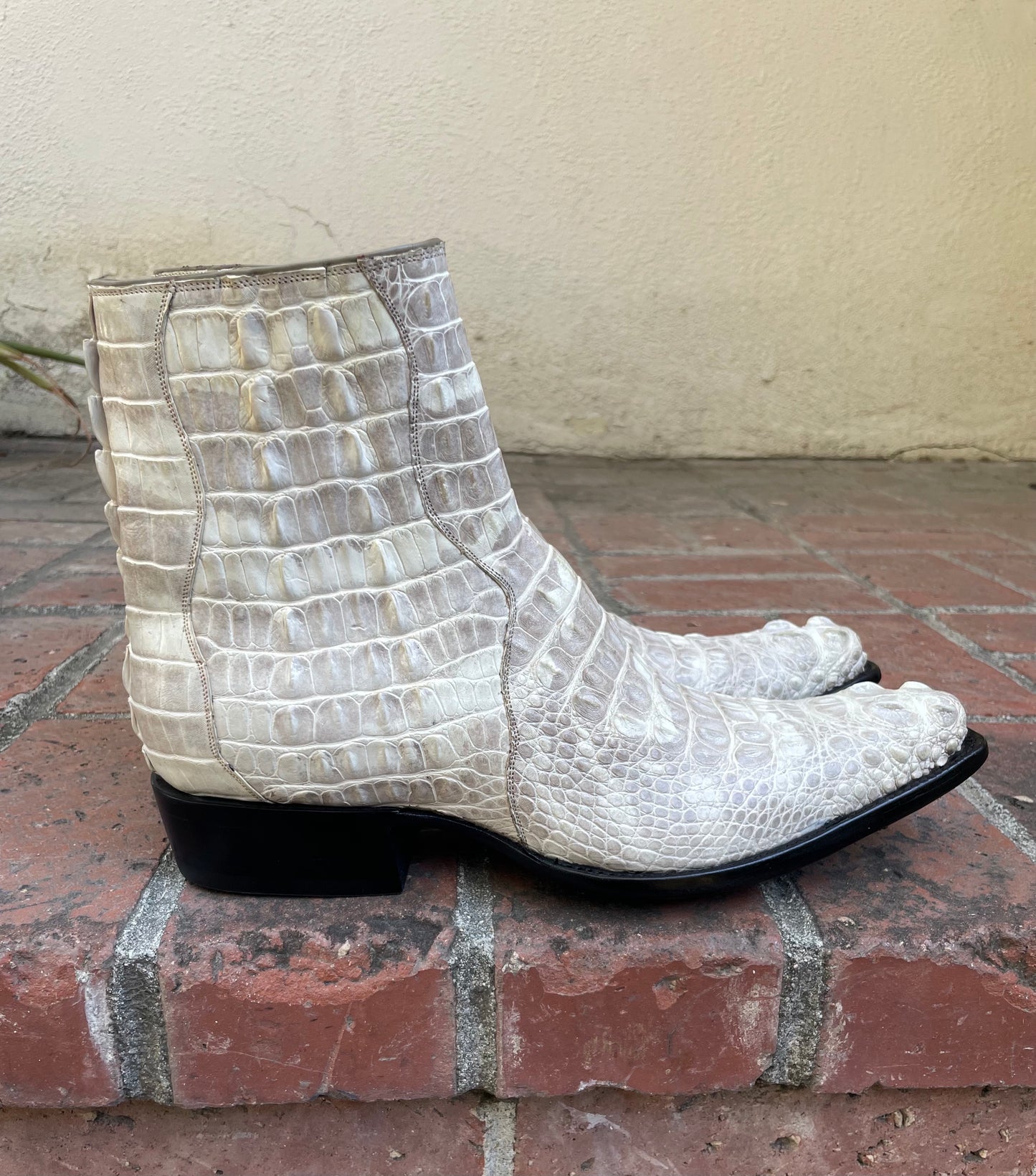 Full Blanc Antiqued Hornback American Alligator Zip