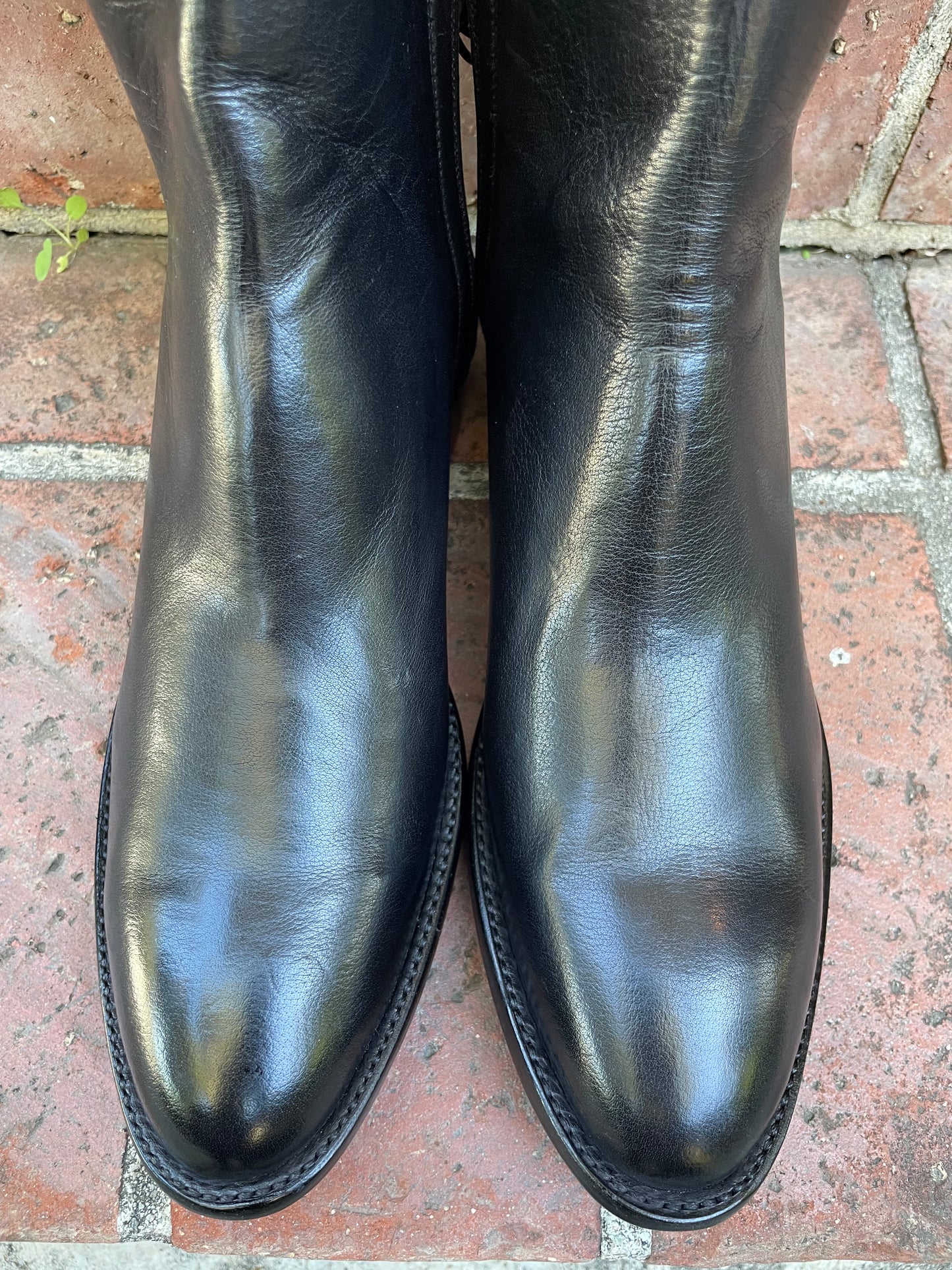 Femme Italian Water Buffalo Noir Zip