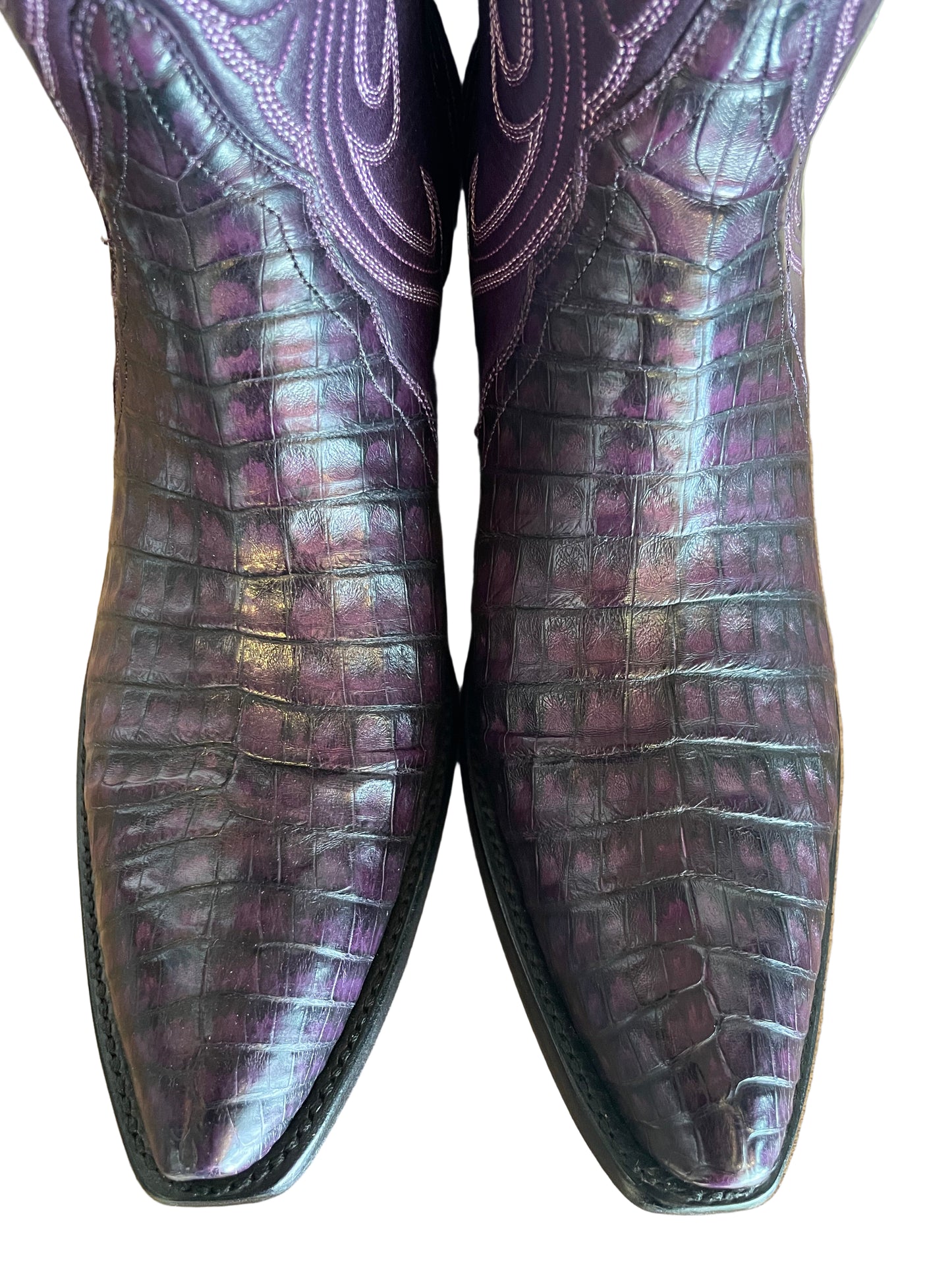 Tall Caiman Belly Gallegos Cowgirl in Grape