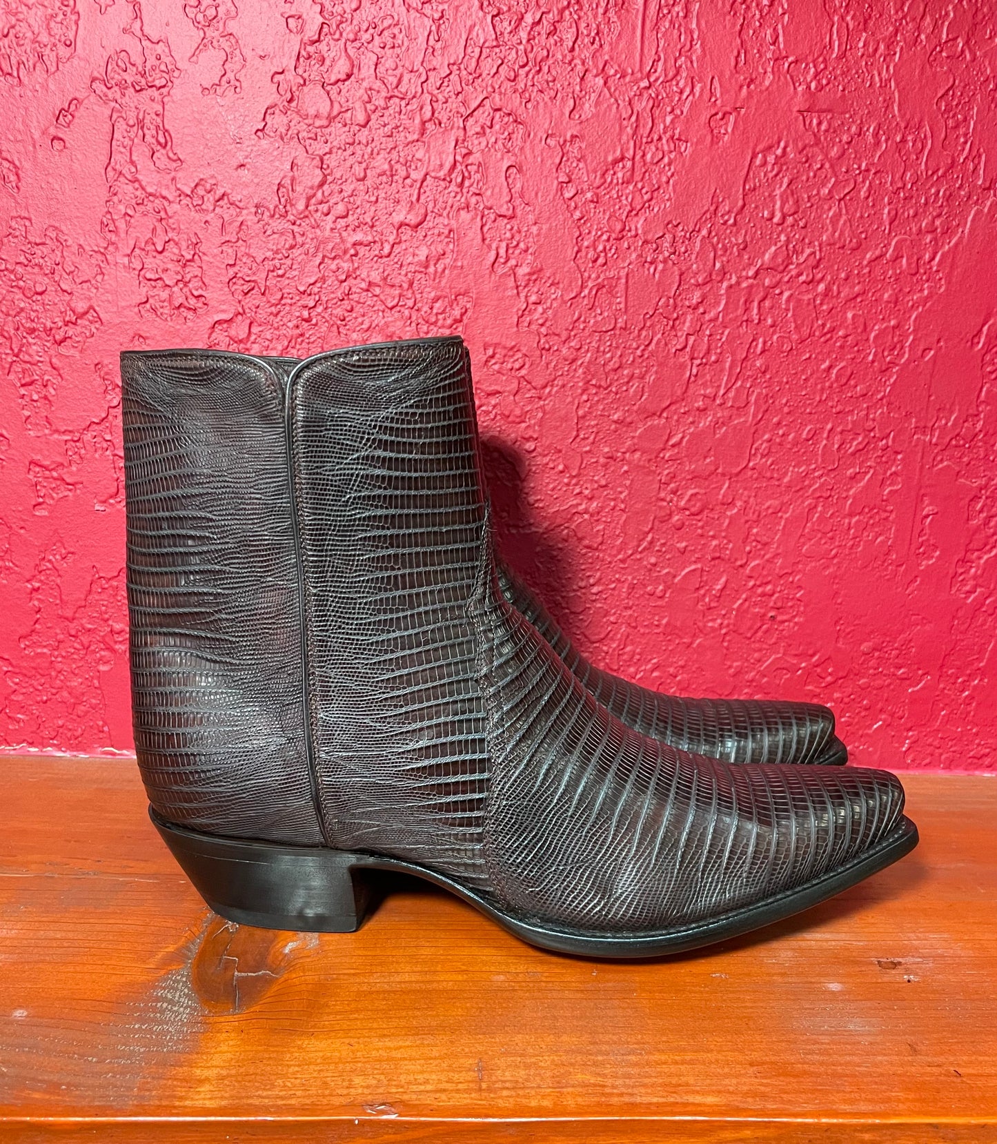 Espresso Teju Lizard ZG