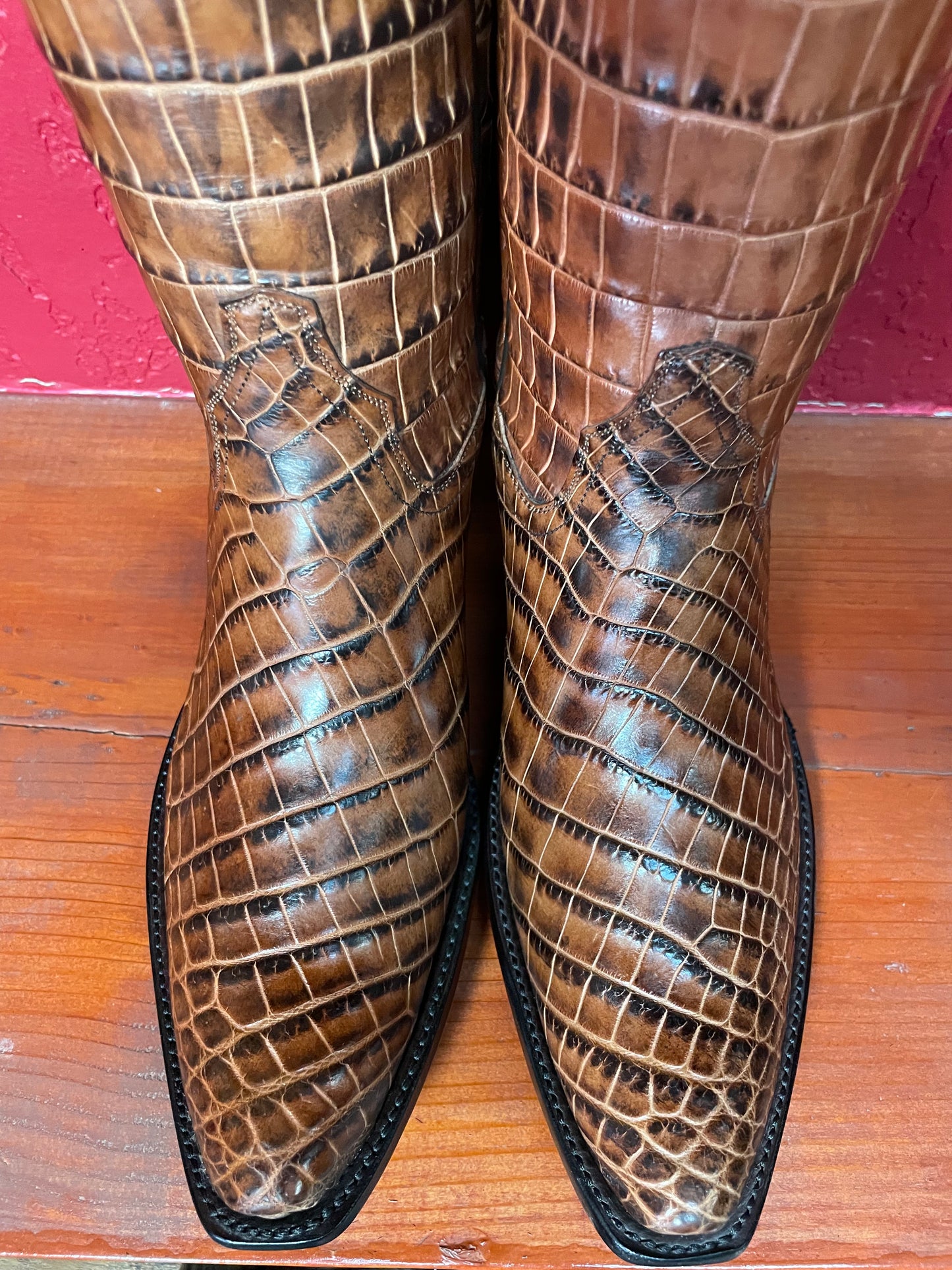 Full Safari Alligator Belly Cowgirl