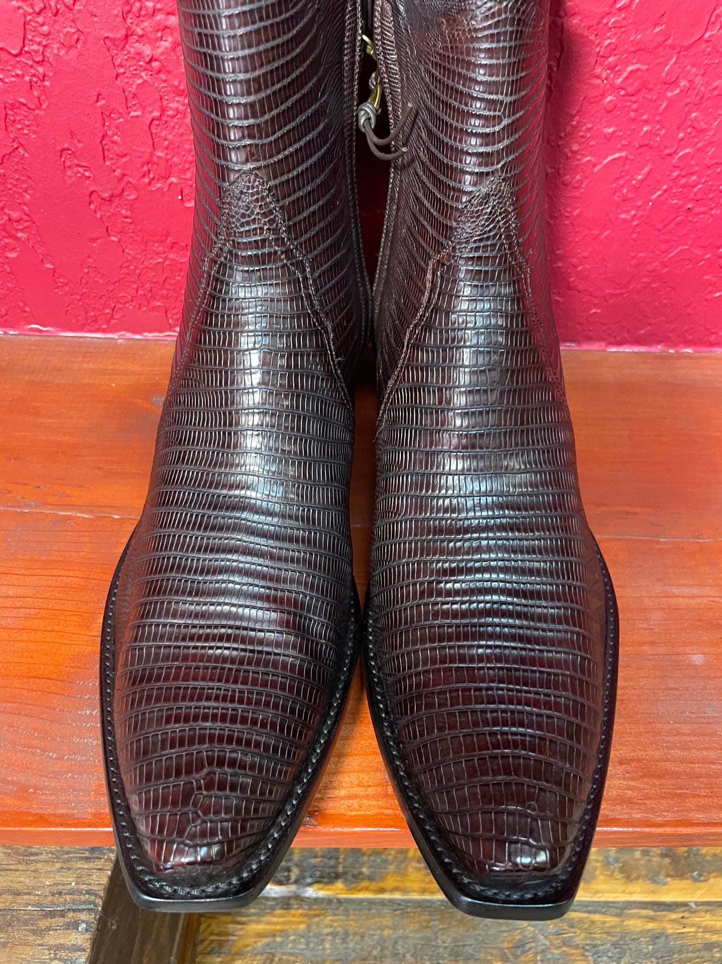 Espresso Teju Lizard ZG