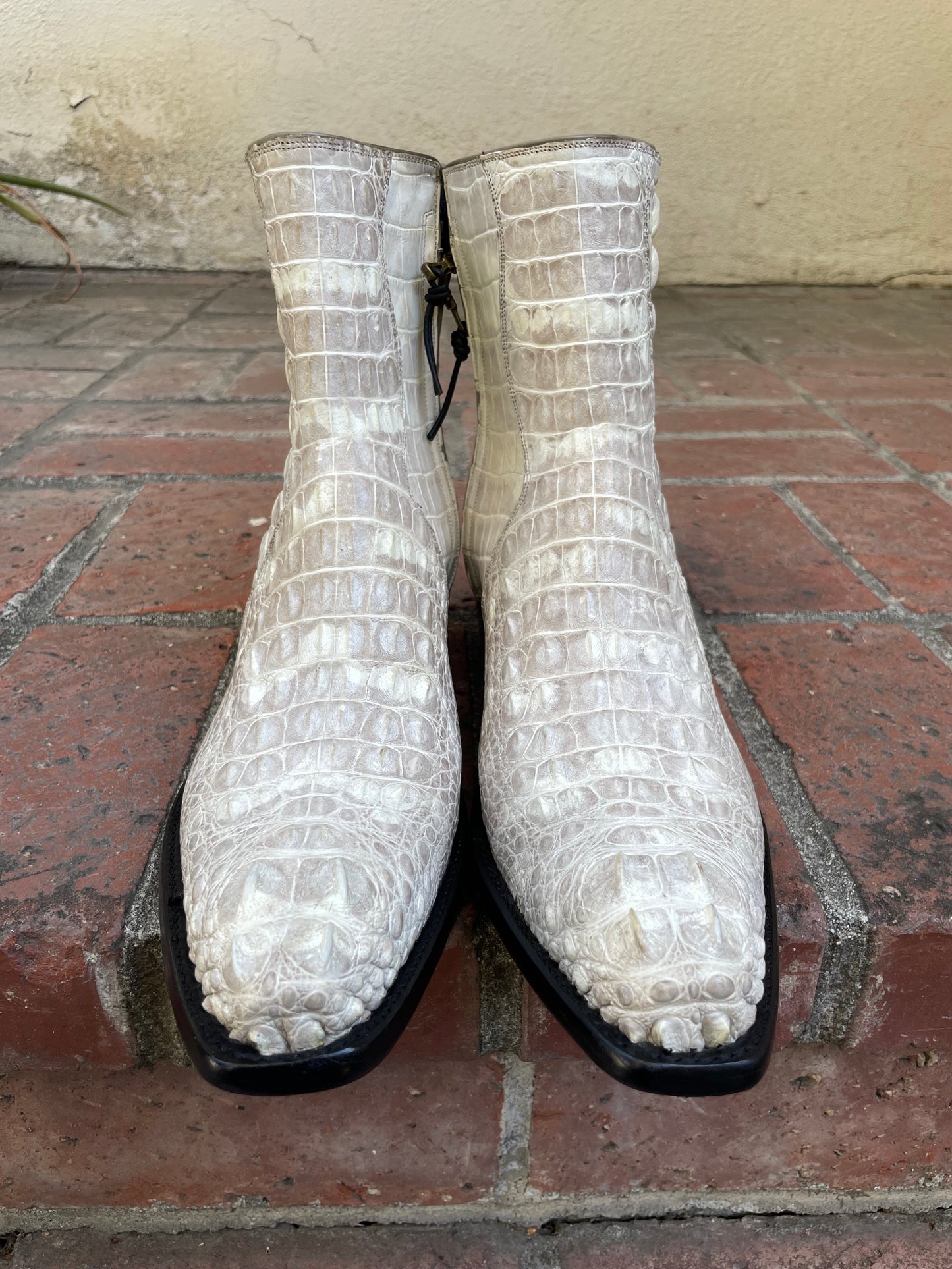 Full Blanc Antiqued Hornback American Alligator Zip