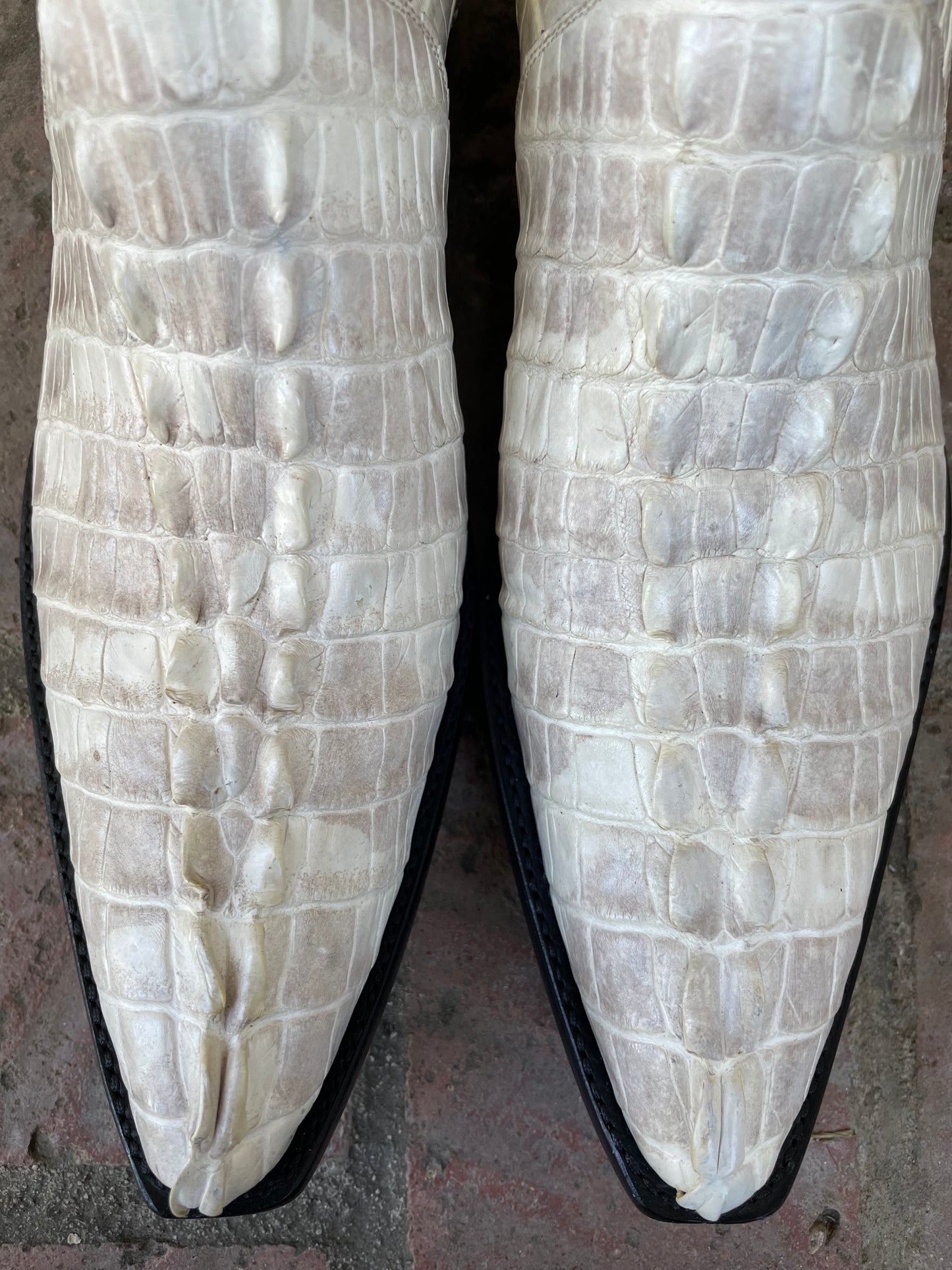 Full Antiqued Bone HB Gator Tail Zip