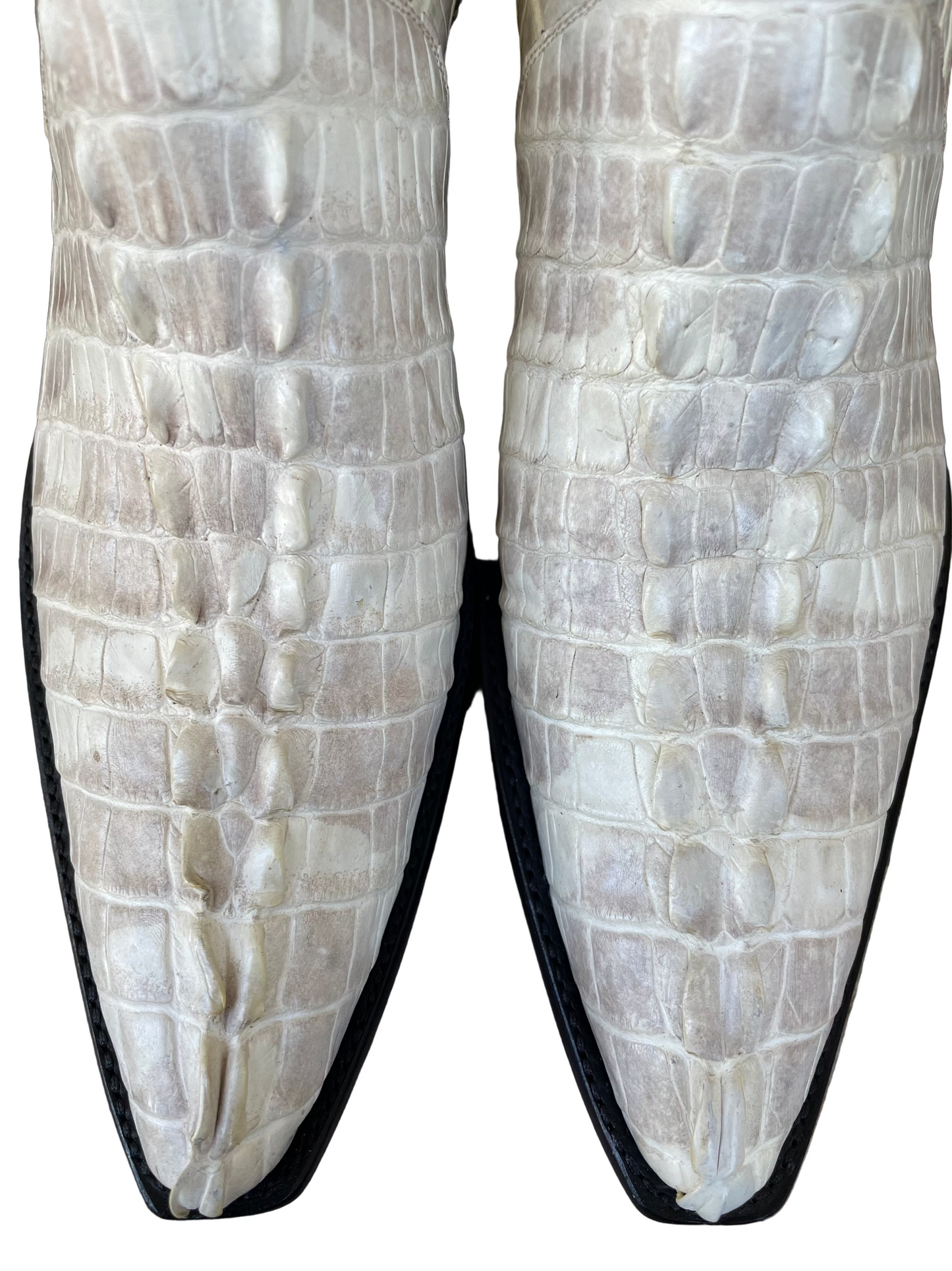 Full Antiqued Bone HB Gator Tail Zip