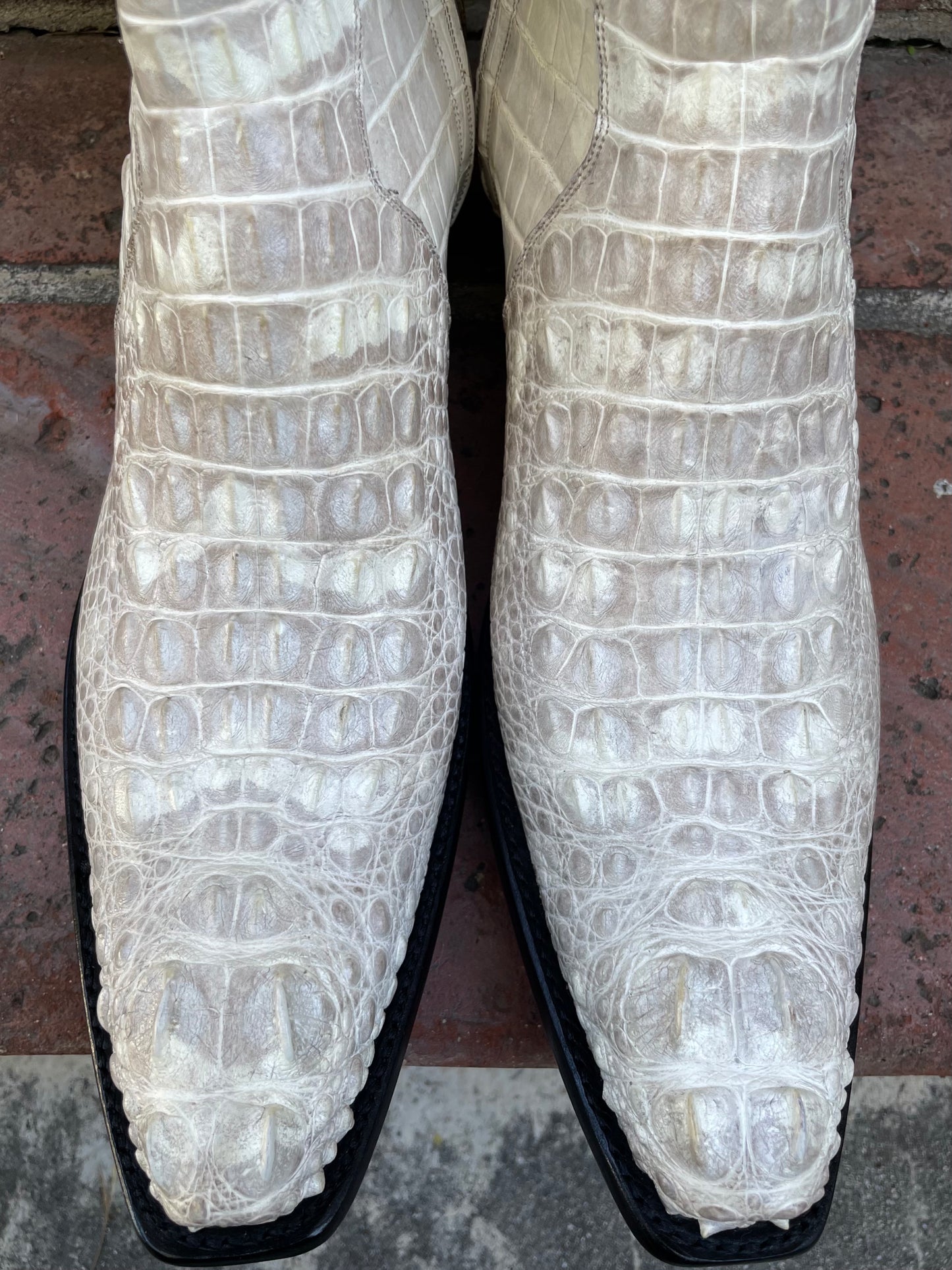 Full Blanc Antiqued Hornback American Alligator Zip