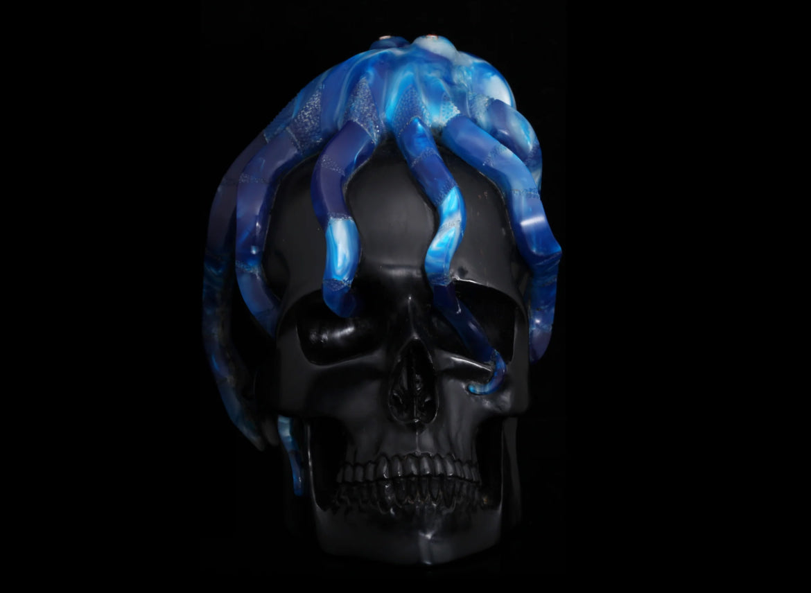Octopus On Jet Skull