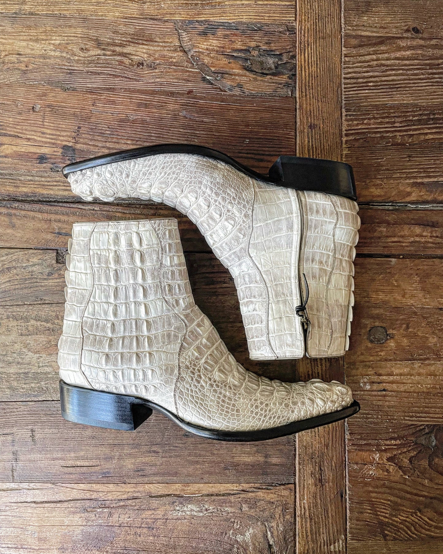 Full Blanc Antiqued Hornback American Alligator Zip