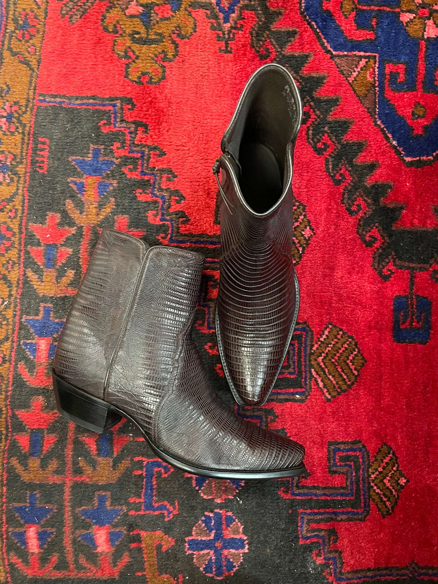 Espresso Teju Lizard ZG