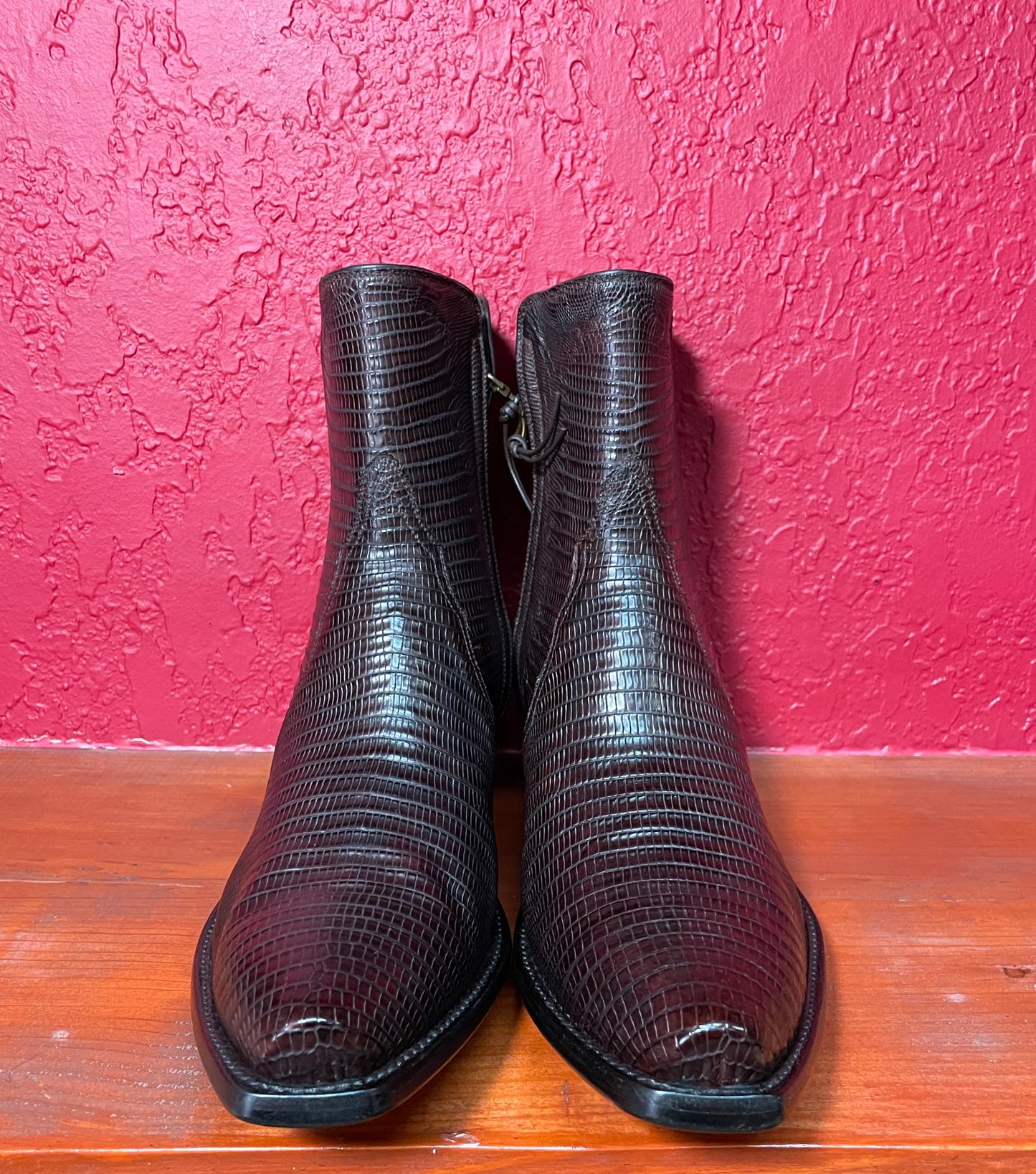 Espresso Teju Lizard ZG