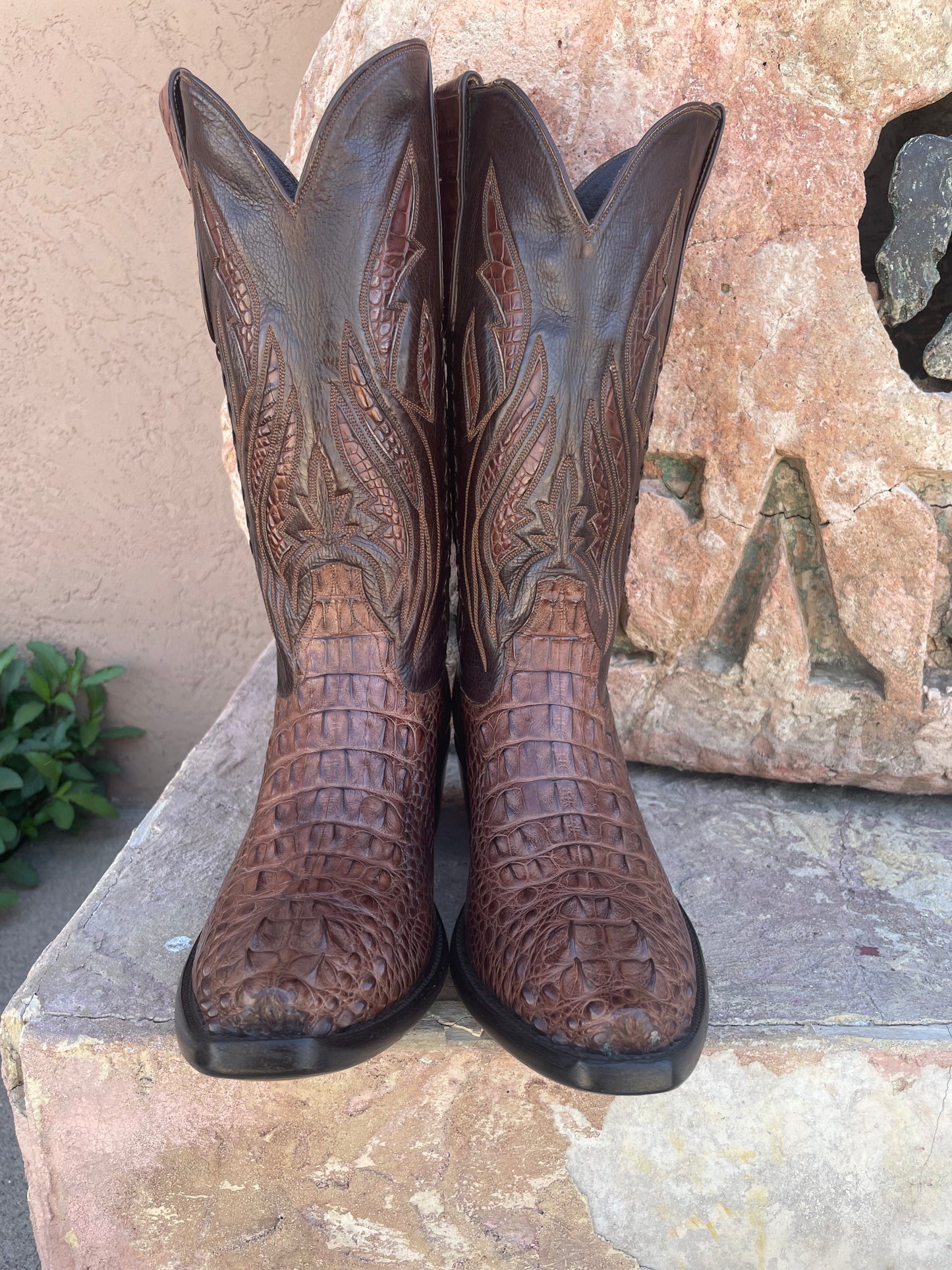 Sport Rust Hornback American Alligator Cowboy