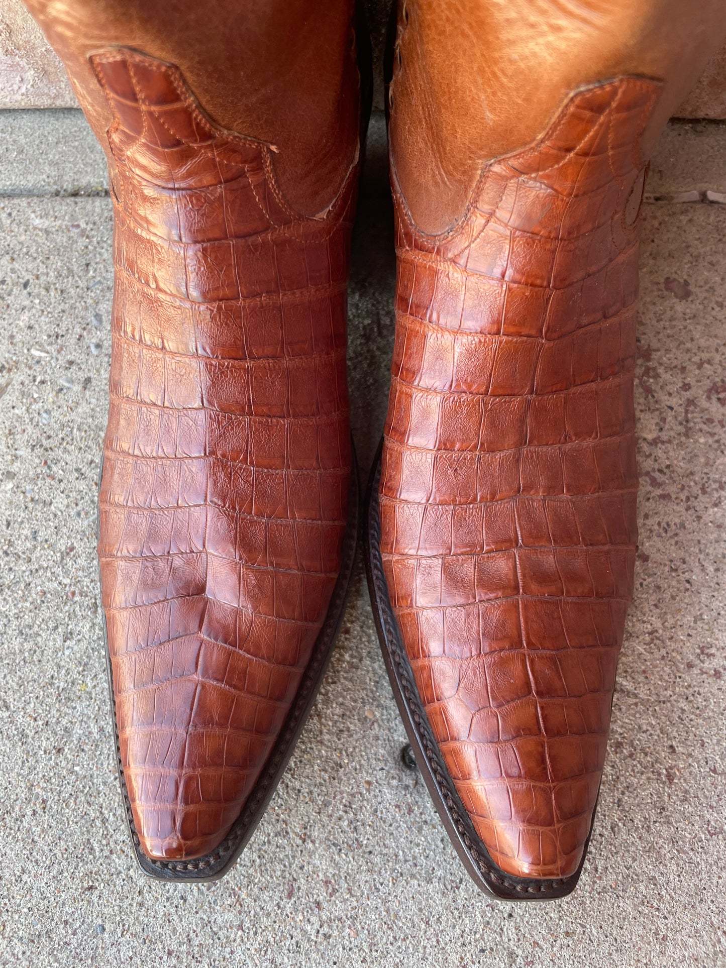 Cognac Caiman Crocodile Belly Cowgirl