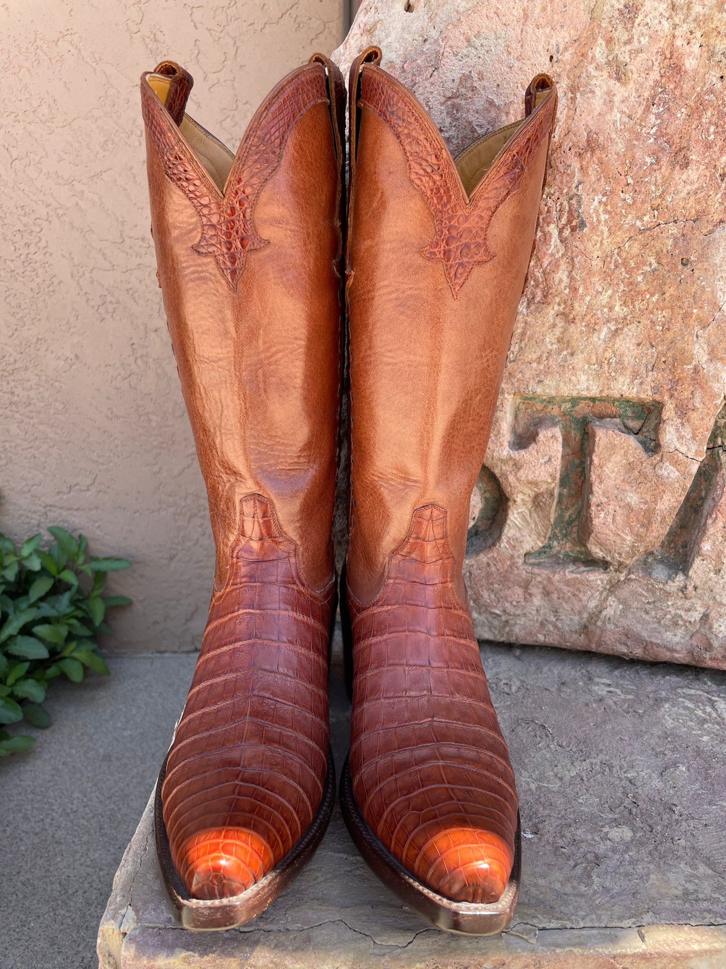 Cognac Caiman Crocodile Belly Cowgirl
