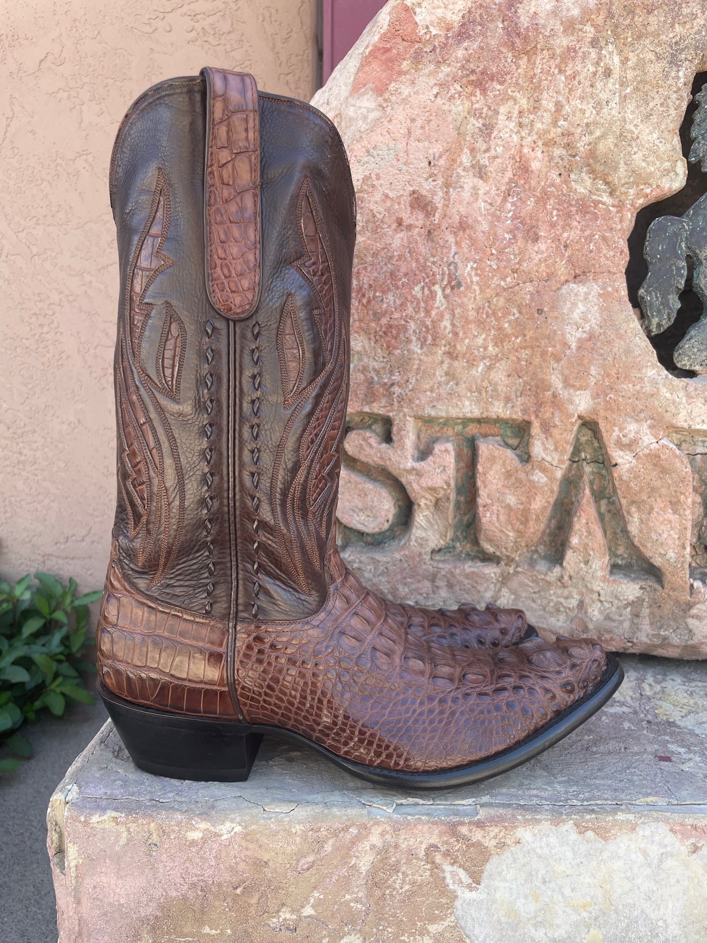 Sport Rust Hornback American Alligator Cowboy
