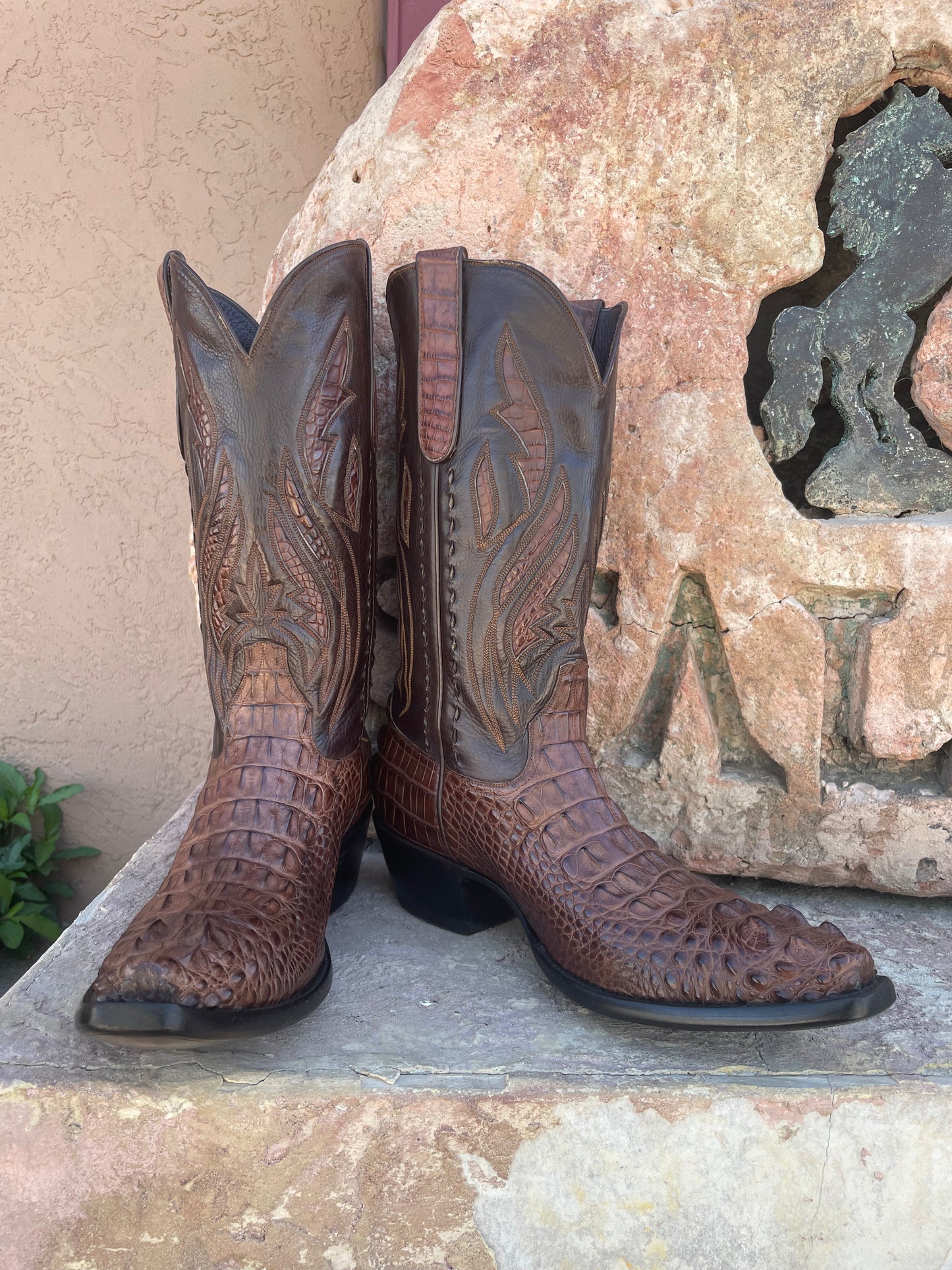 Sport Rust Hornback American Alligator Cowboy