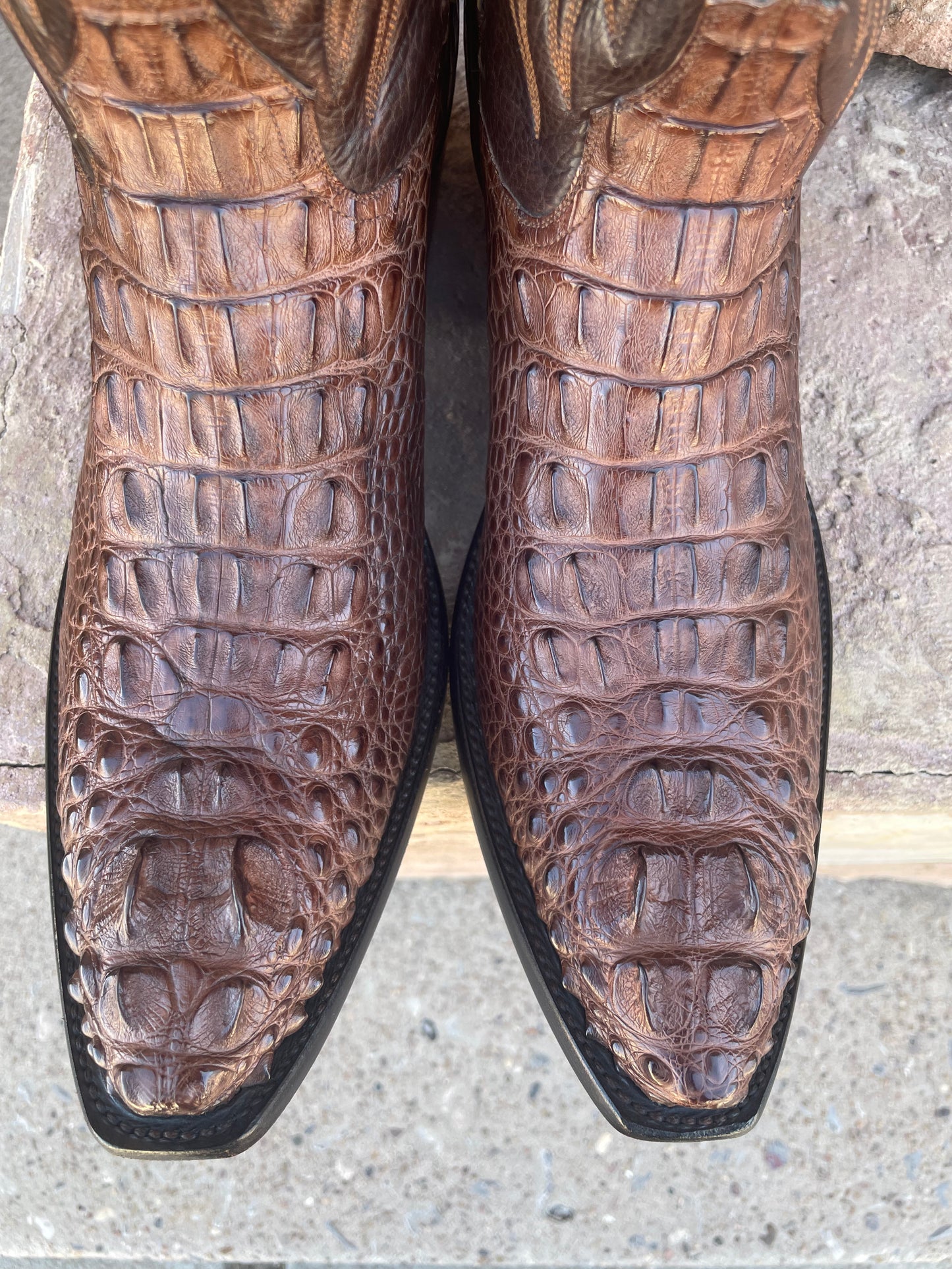 Sport Rust Hornback American Alligator Cowboy