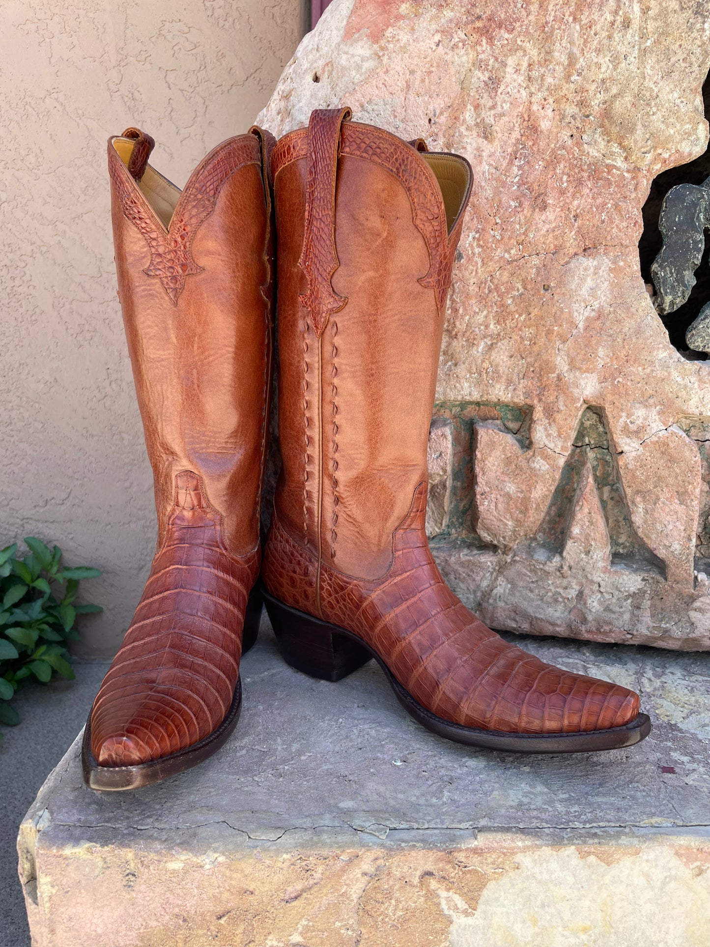 Cognac Caiman Crocodile Belly Cowgirl