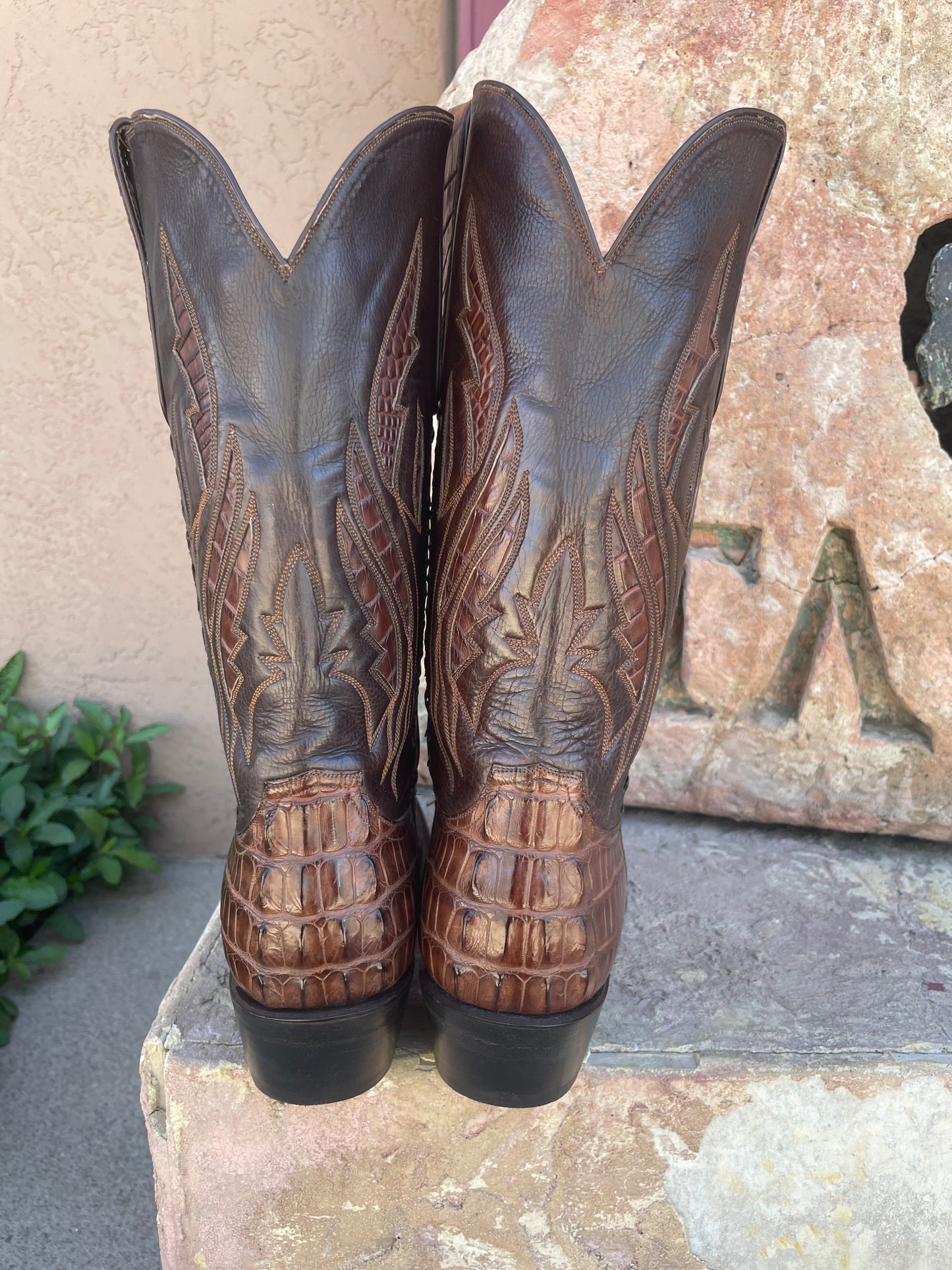 Sport Rust Hornback American Alligator Cowboy