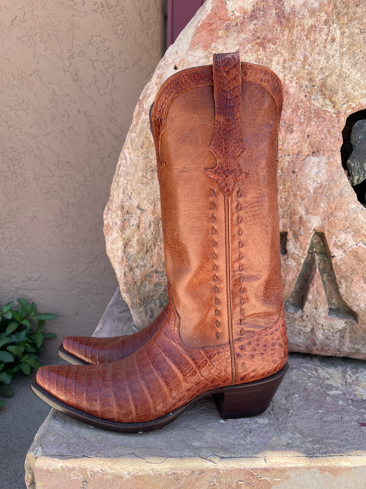 Cognac Caiman Crocodile Belly Cowgirl