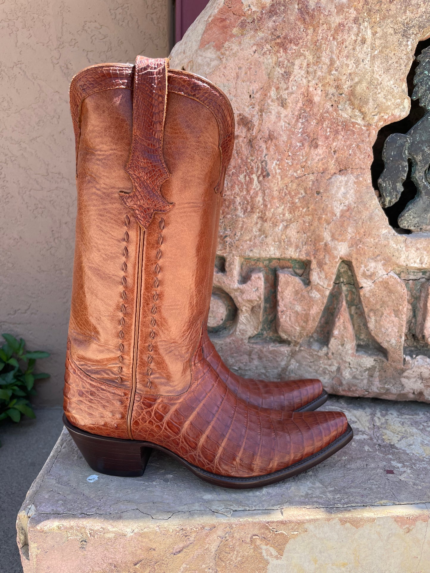 Cognac Caiman Crocodile Belly Cowgirl