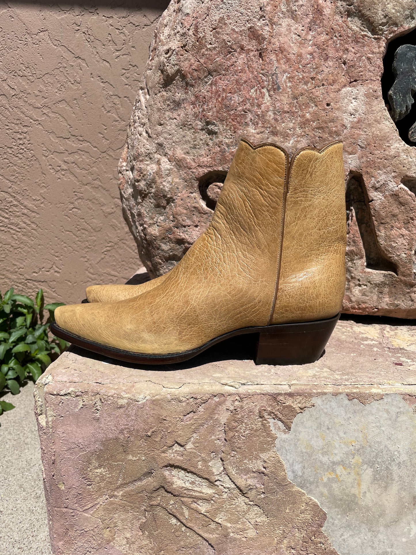 Saddle Tan Bull Neck Zorro