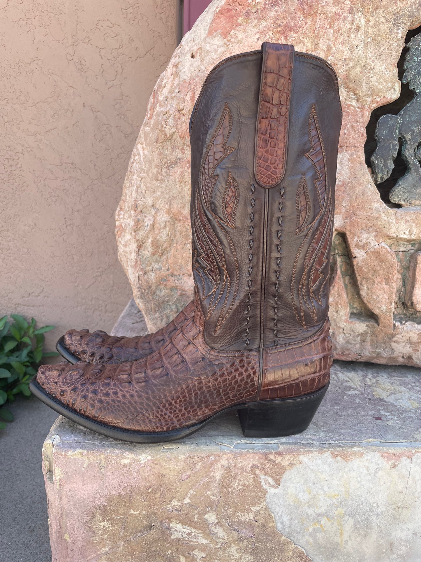 Sport Rust Hornback American Alligator Cowboy