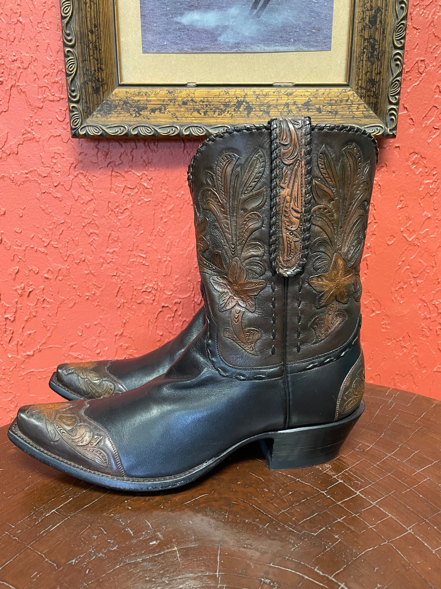 Stargazers Noir Et Cafe Cowgirl