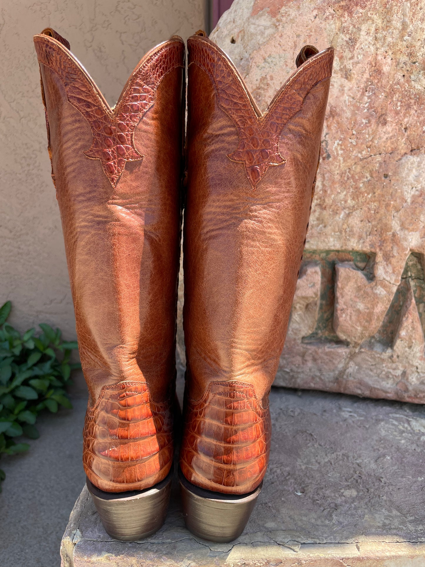 Cognac Caiman Crocodile Belly Cowgirl