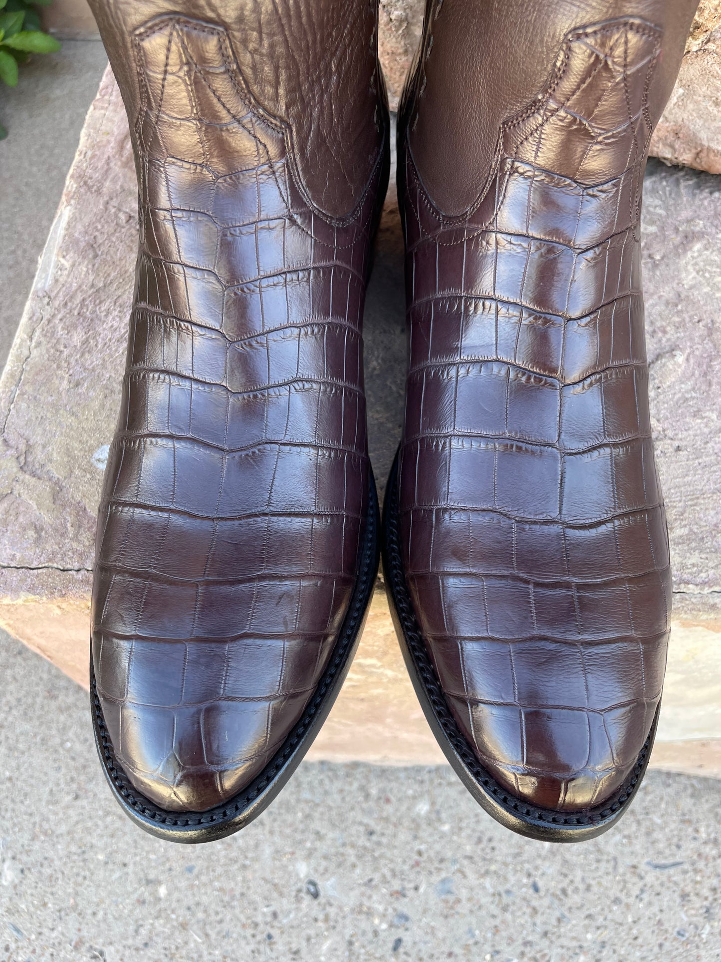 Chocolát Nile Crocodile Belly Cowboy Classique