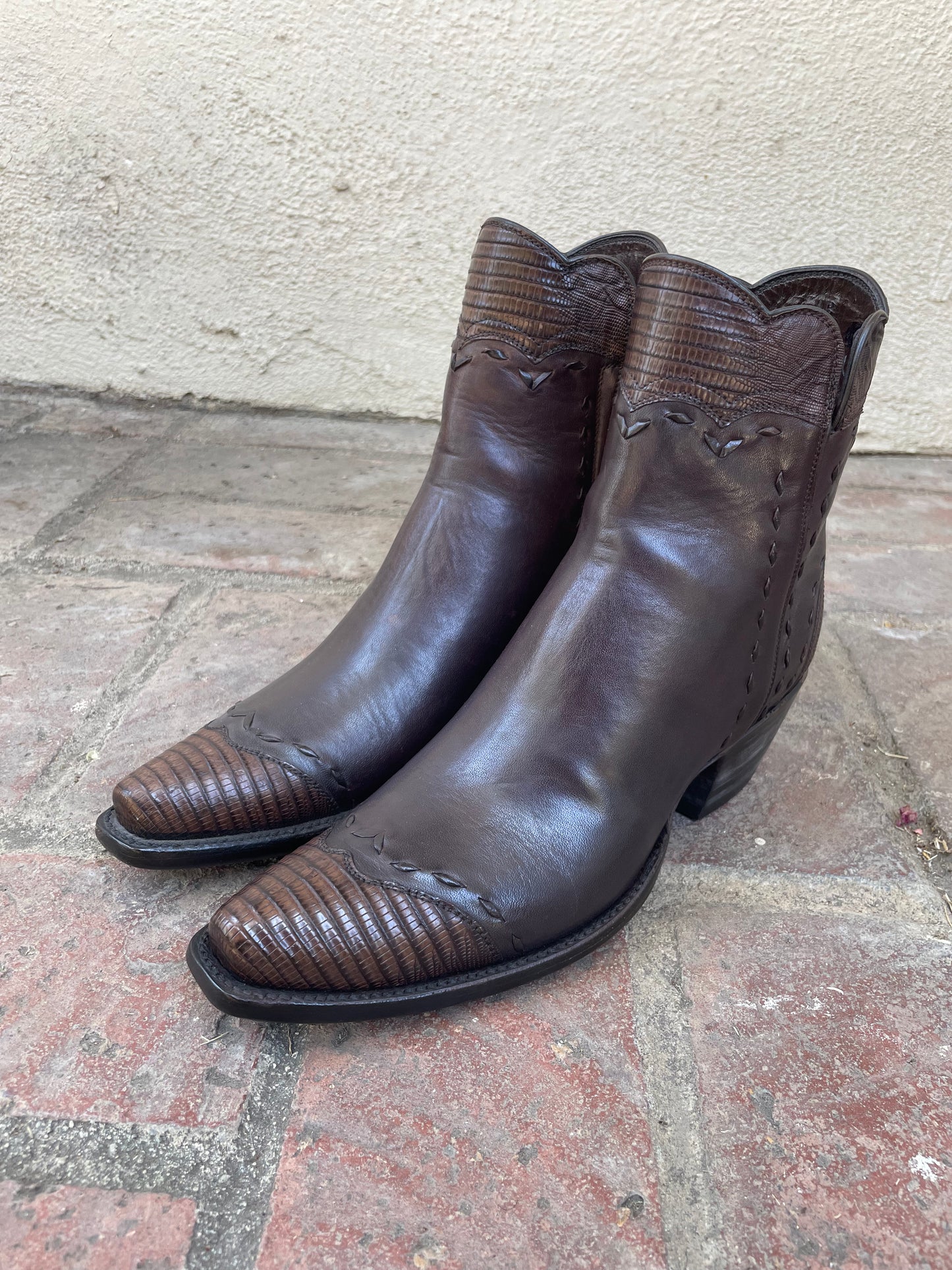 Cheval With Teju Lizard Zip in Chocolate