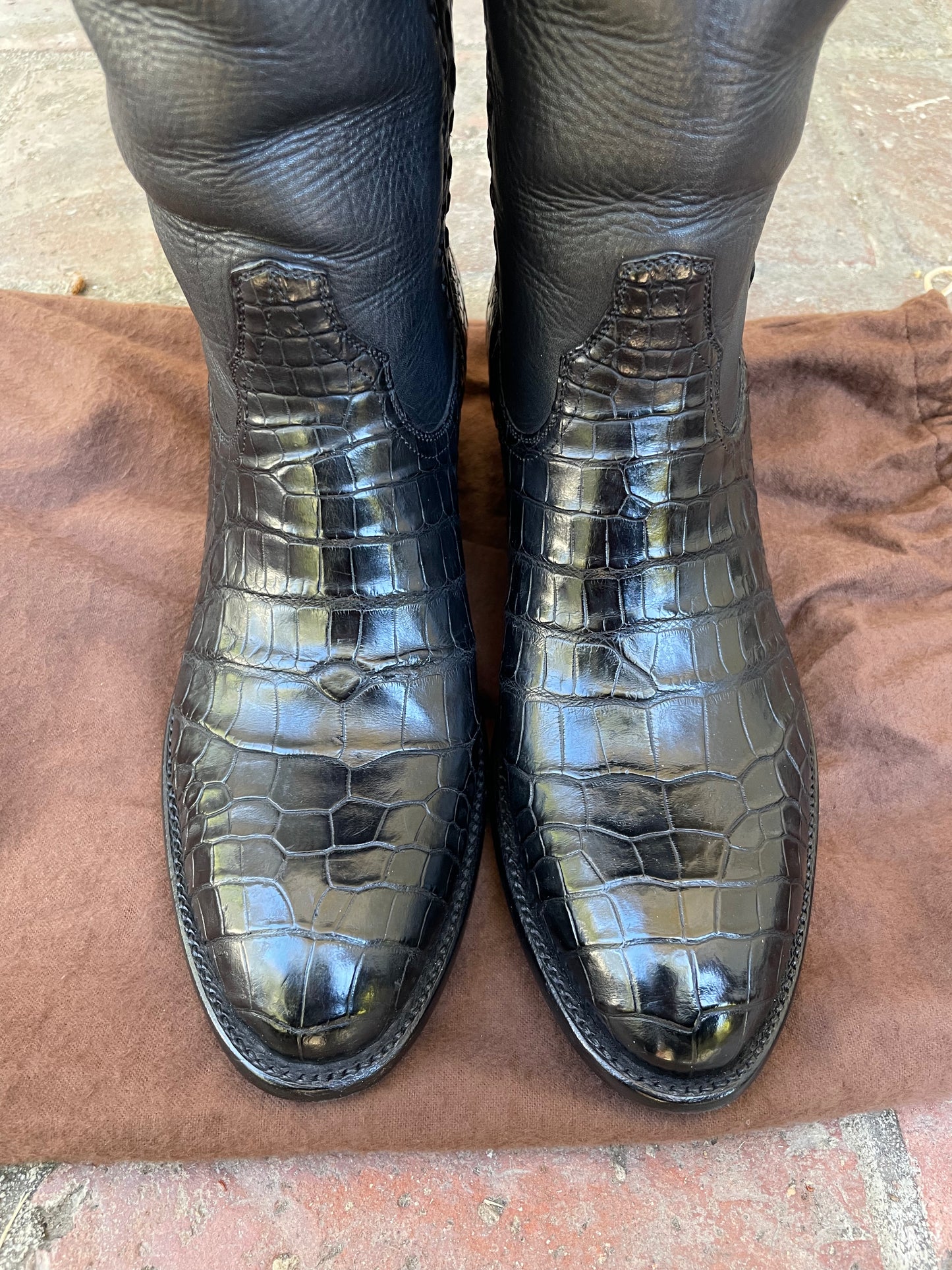 Western Noir Classique American Alligator