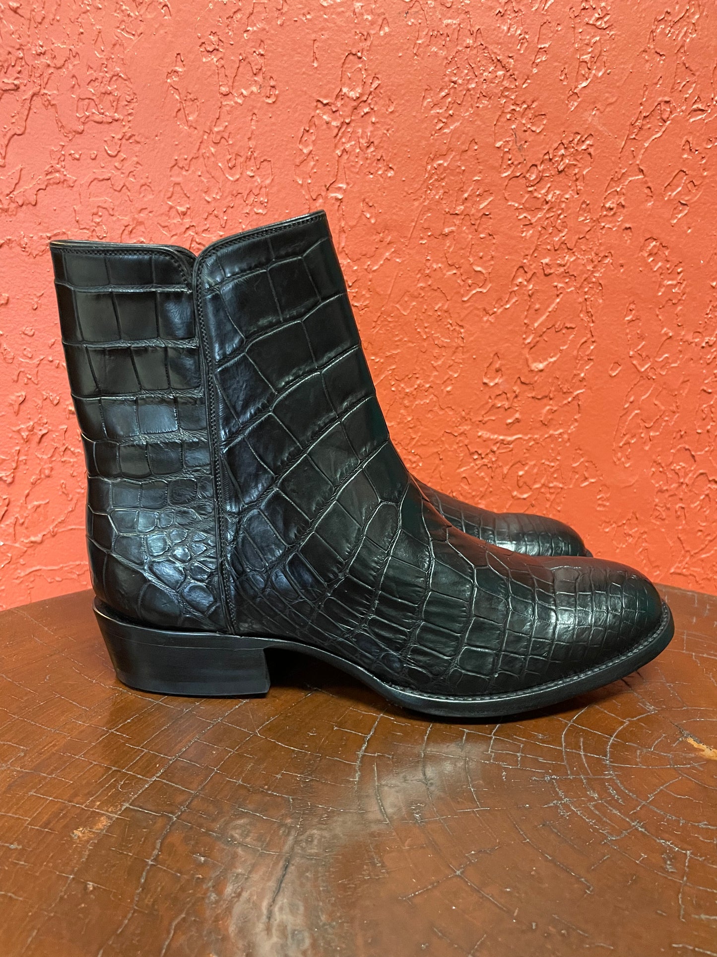 Alligator Belly Zorro Noir