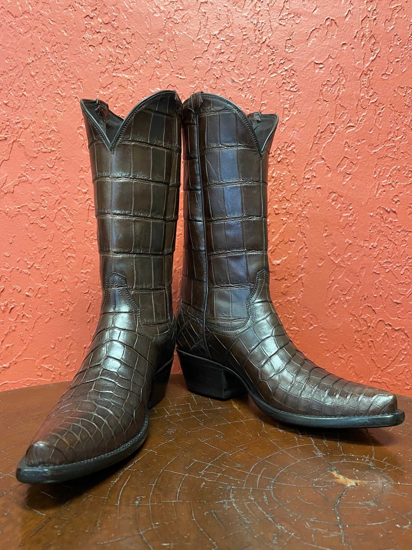 Espresso American Alligator Belly Cowgirl