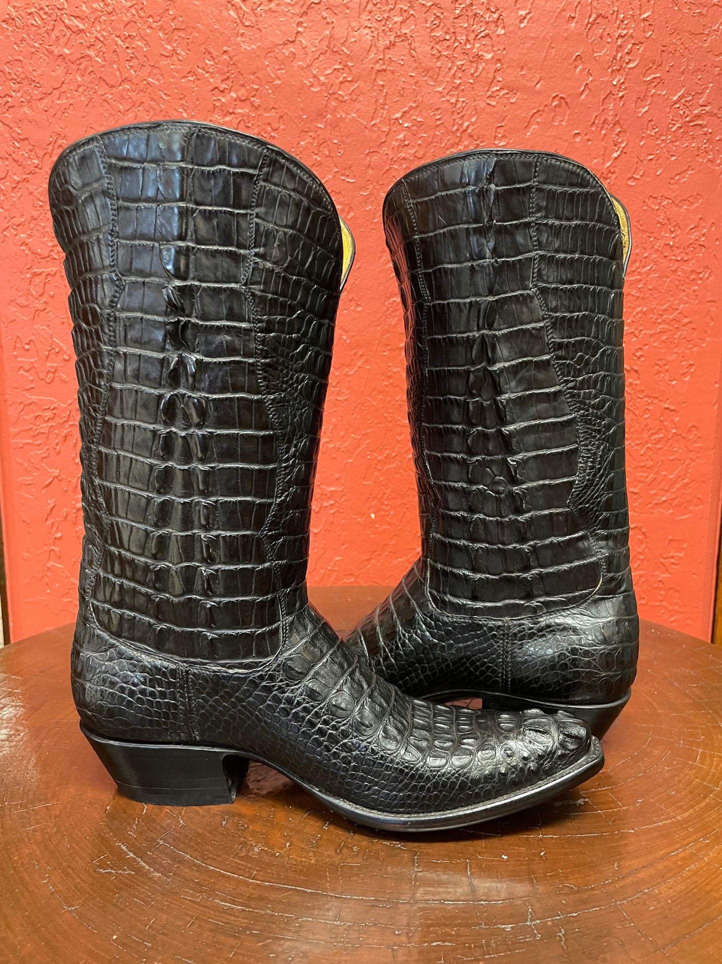 Hornback American Alligator Cowgirl
