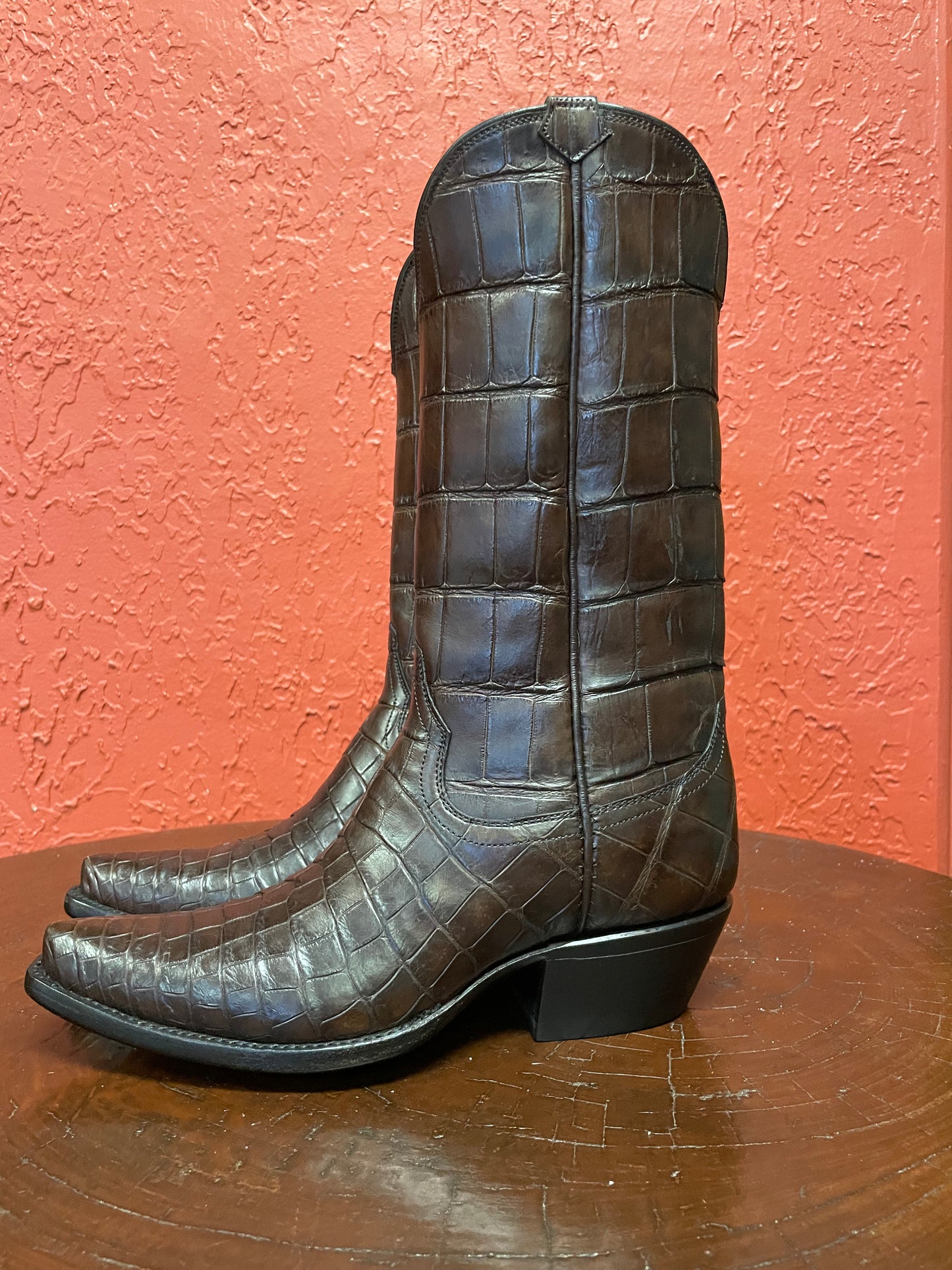 Espresso American Alligator Belly Cowgirl