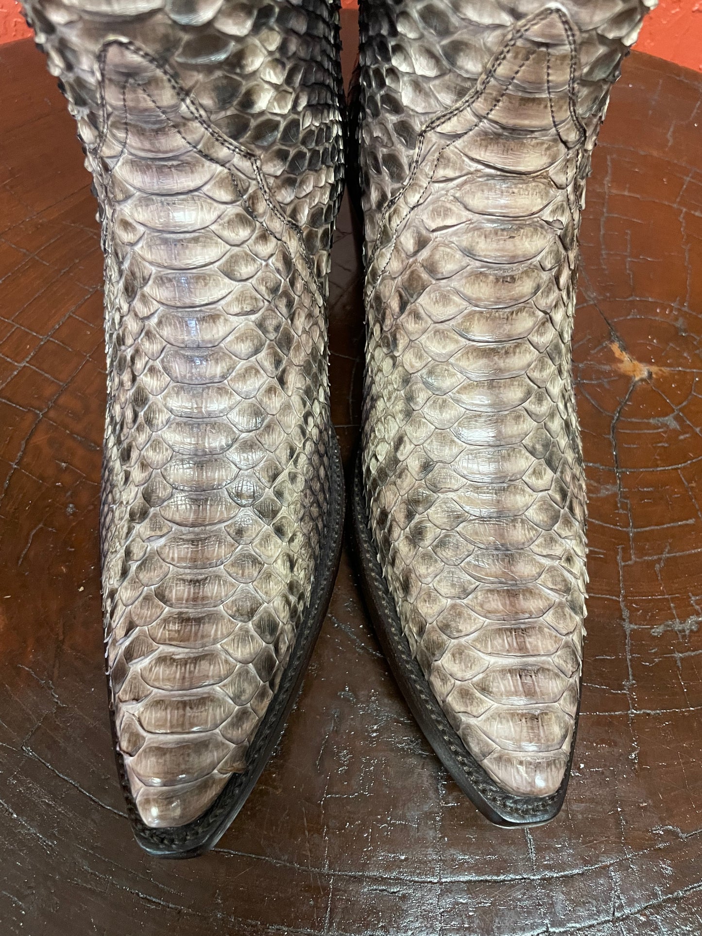 Crème Et Chocolate Python Tall ZG Cowgirl