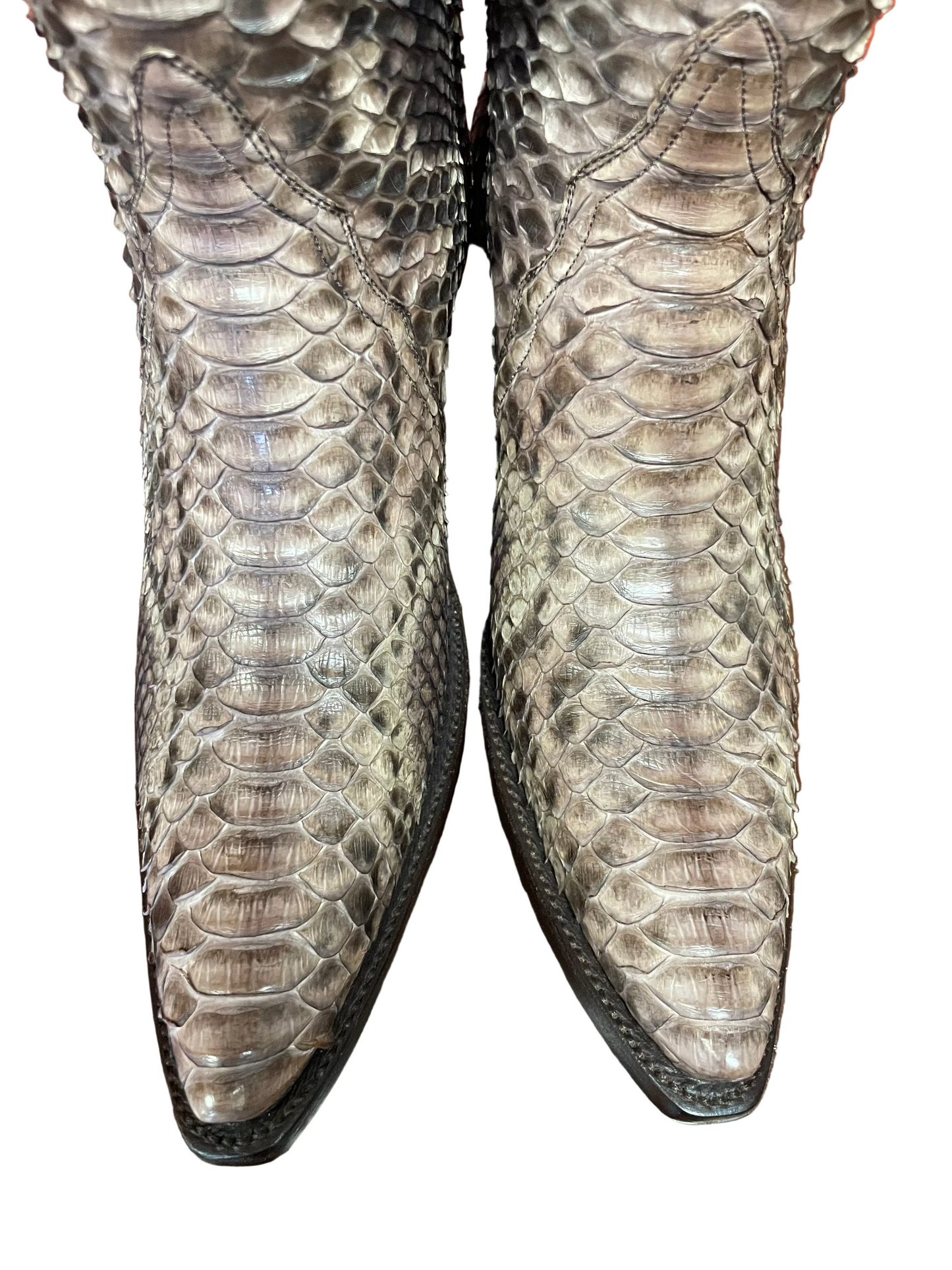 Tall Python Cowgirl in Chocolate and Cream