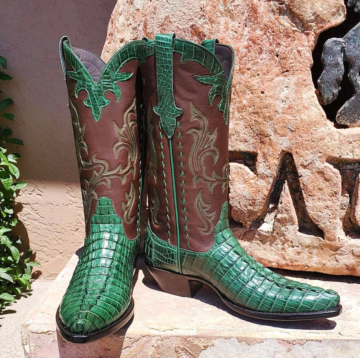 Forêt Verte HB Alligator Tail Galant