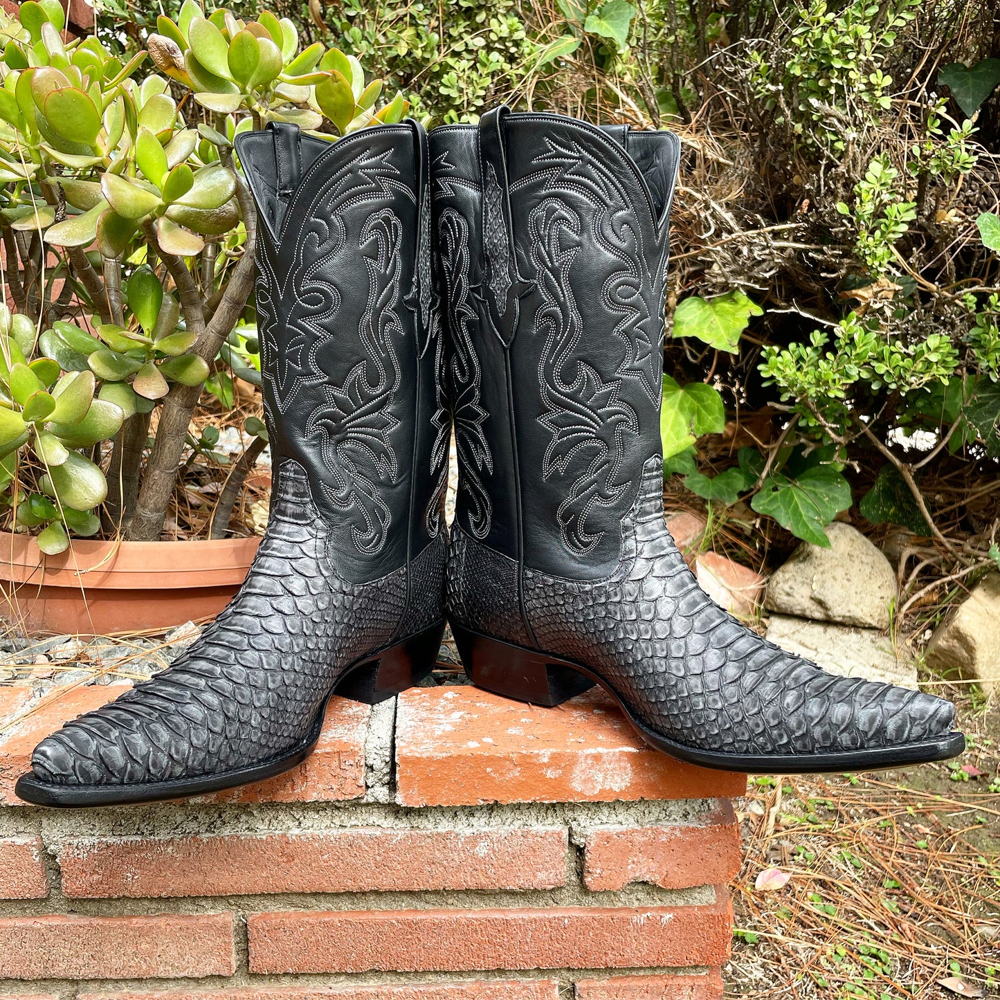 Noir Sanded Python Cowboy