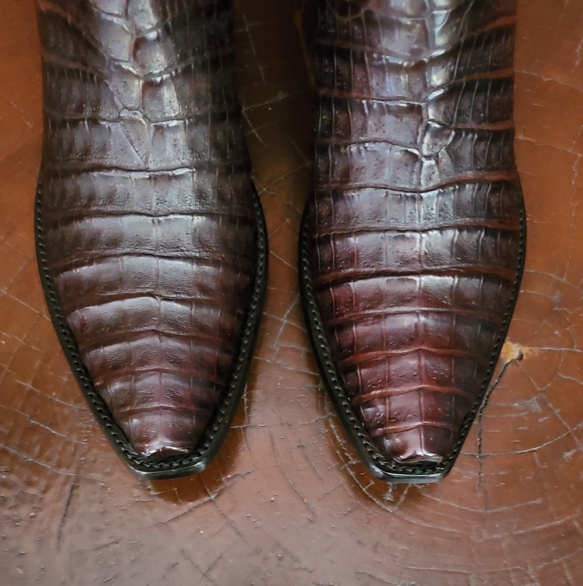 Caiman Belly with Calfskin Cowboy in Espresso