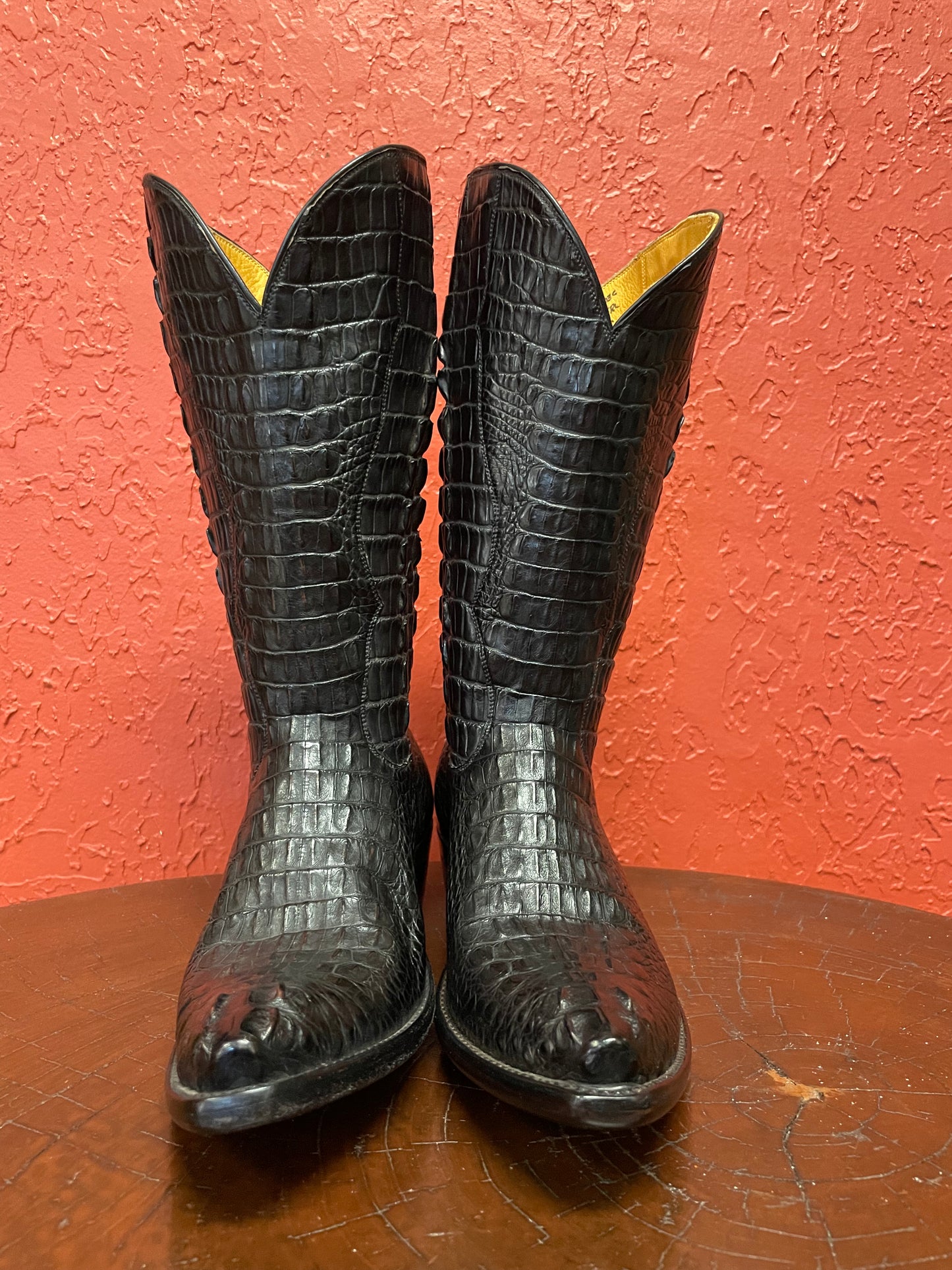 Hornback American Alligator Cowgirl