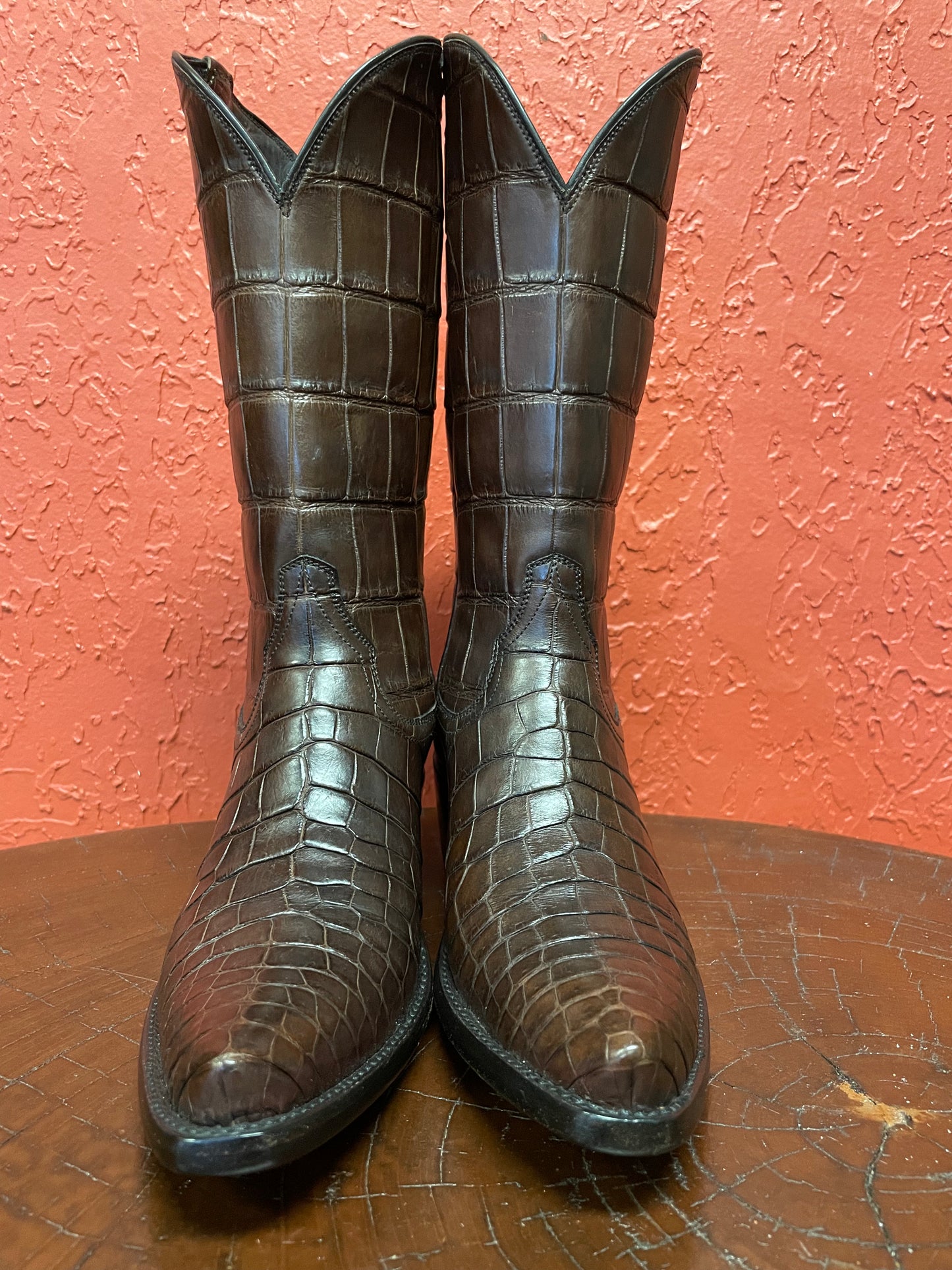 Espresso American Alligator Belly Cowgirl