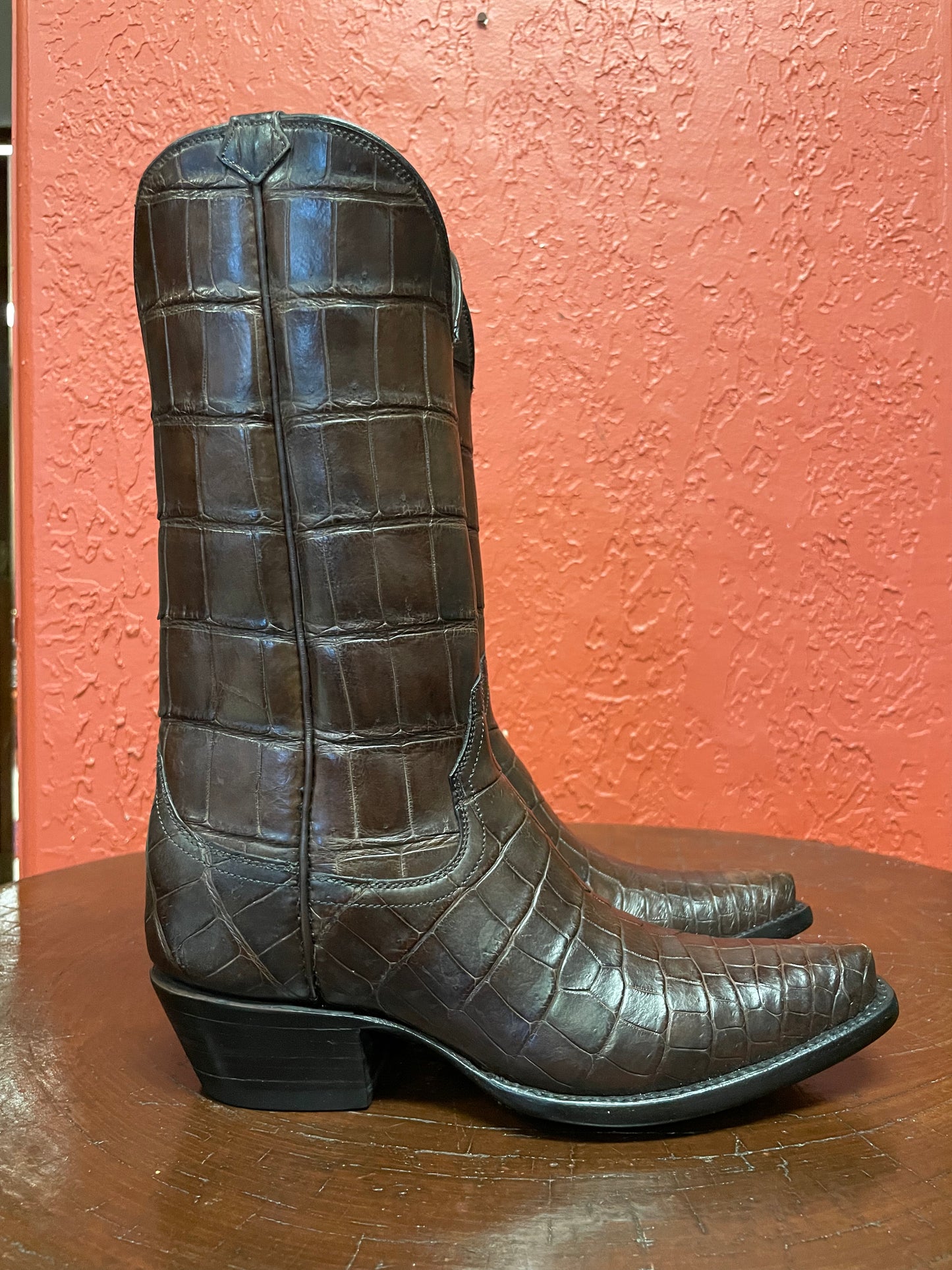 Espresso American Alligator Belly Cowgirl