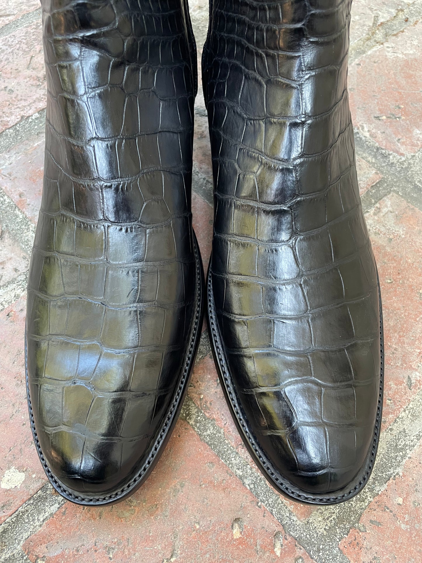 American Alligator Belly Zorro Noir