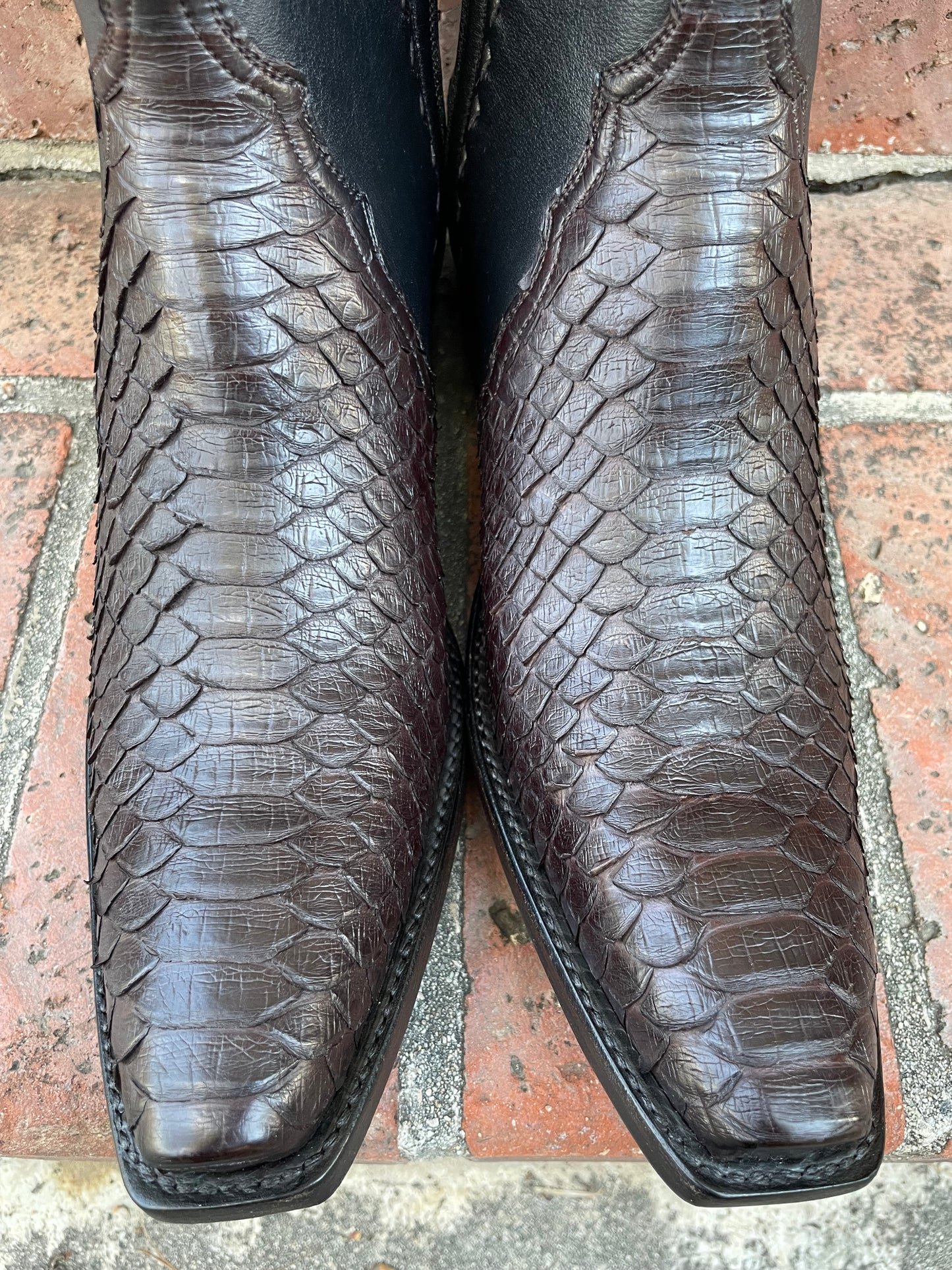 Espresso Python and Noir Calfskin Zip