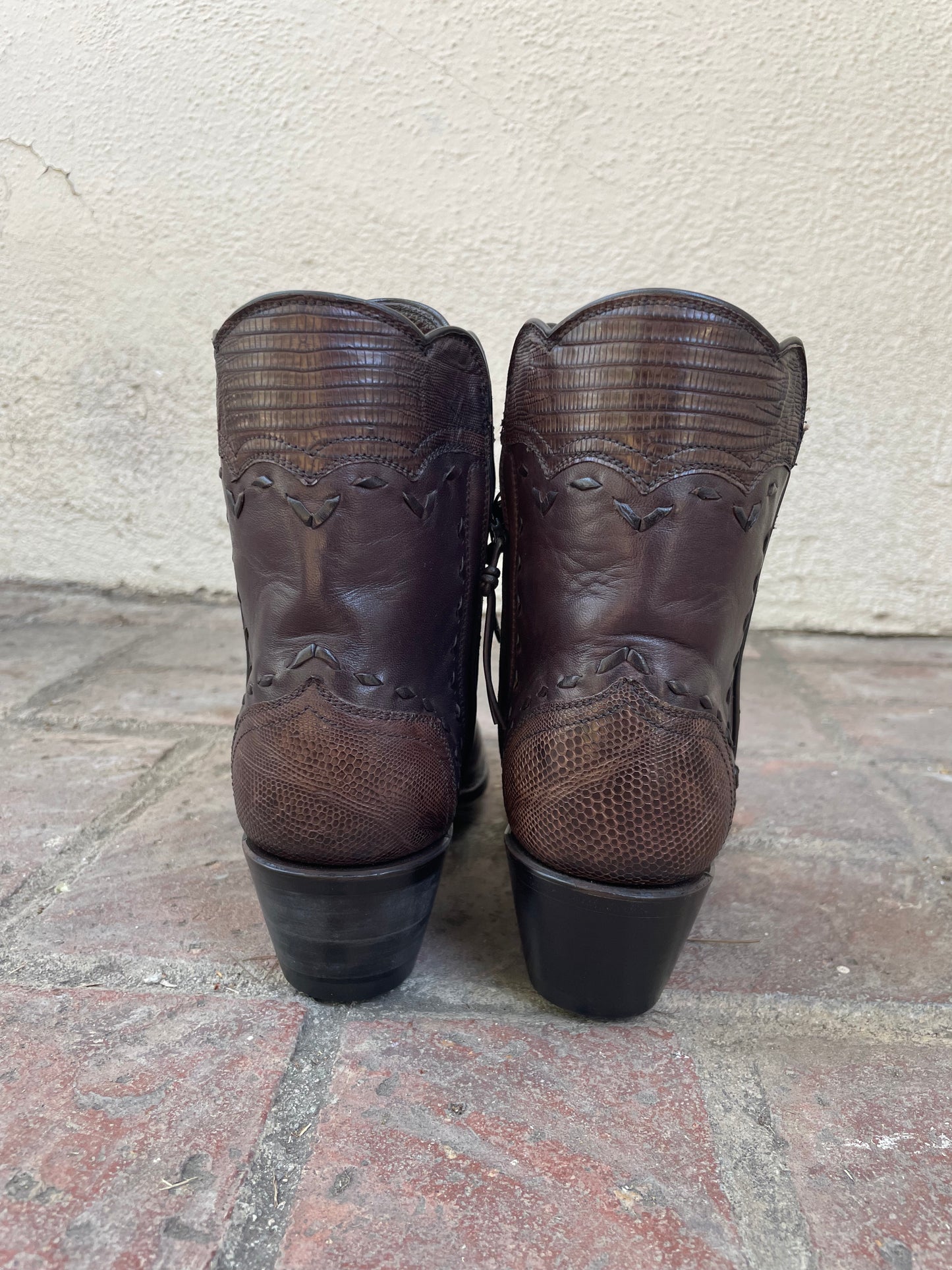 Cheval With Teju Lizard Zip in Chocolate