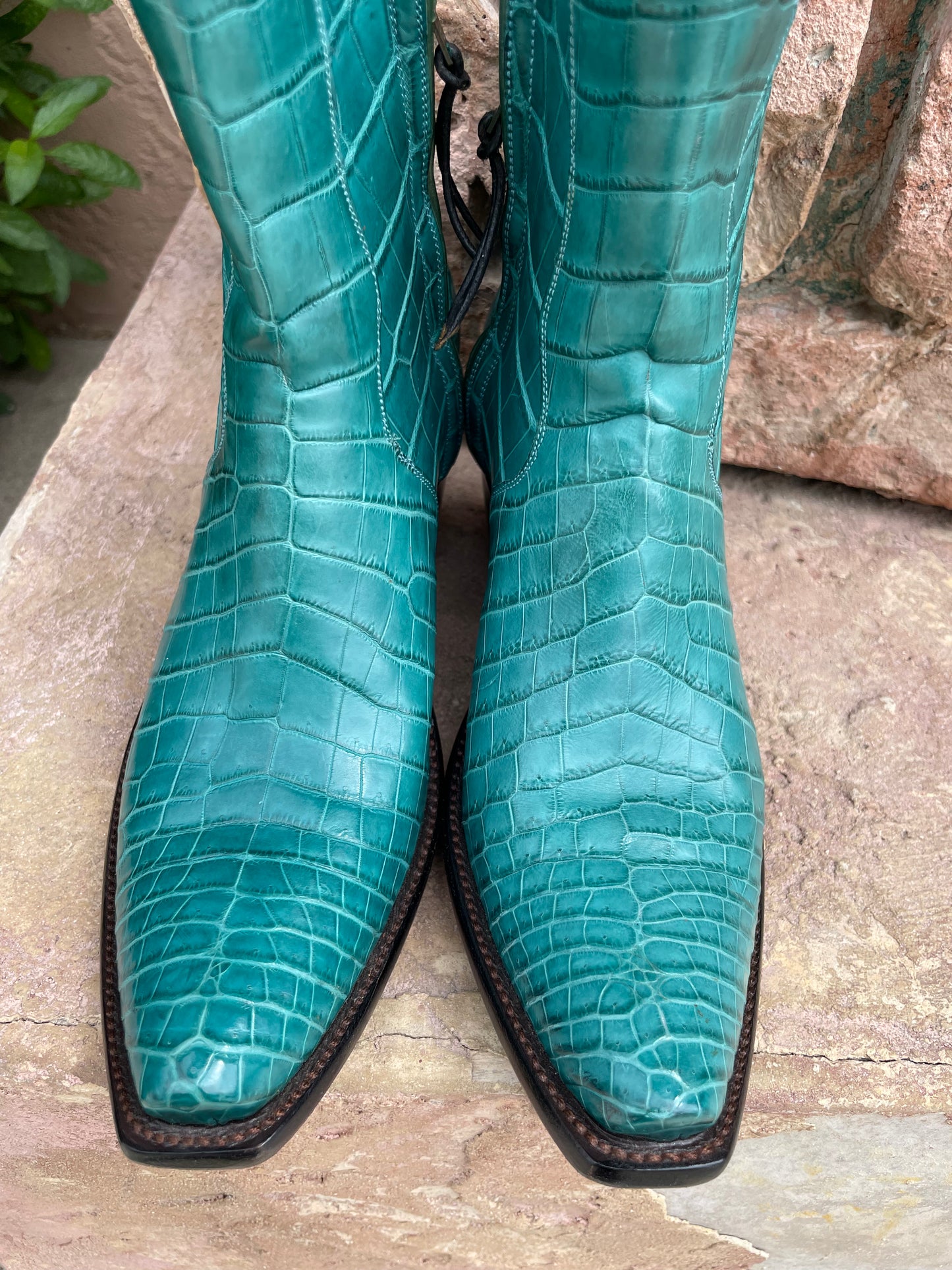 Turquoise American Alligator Belly ZG