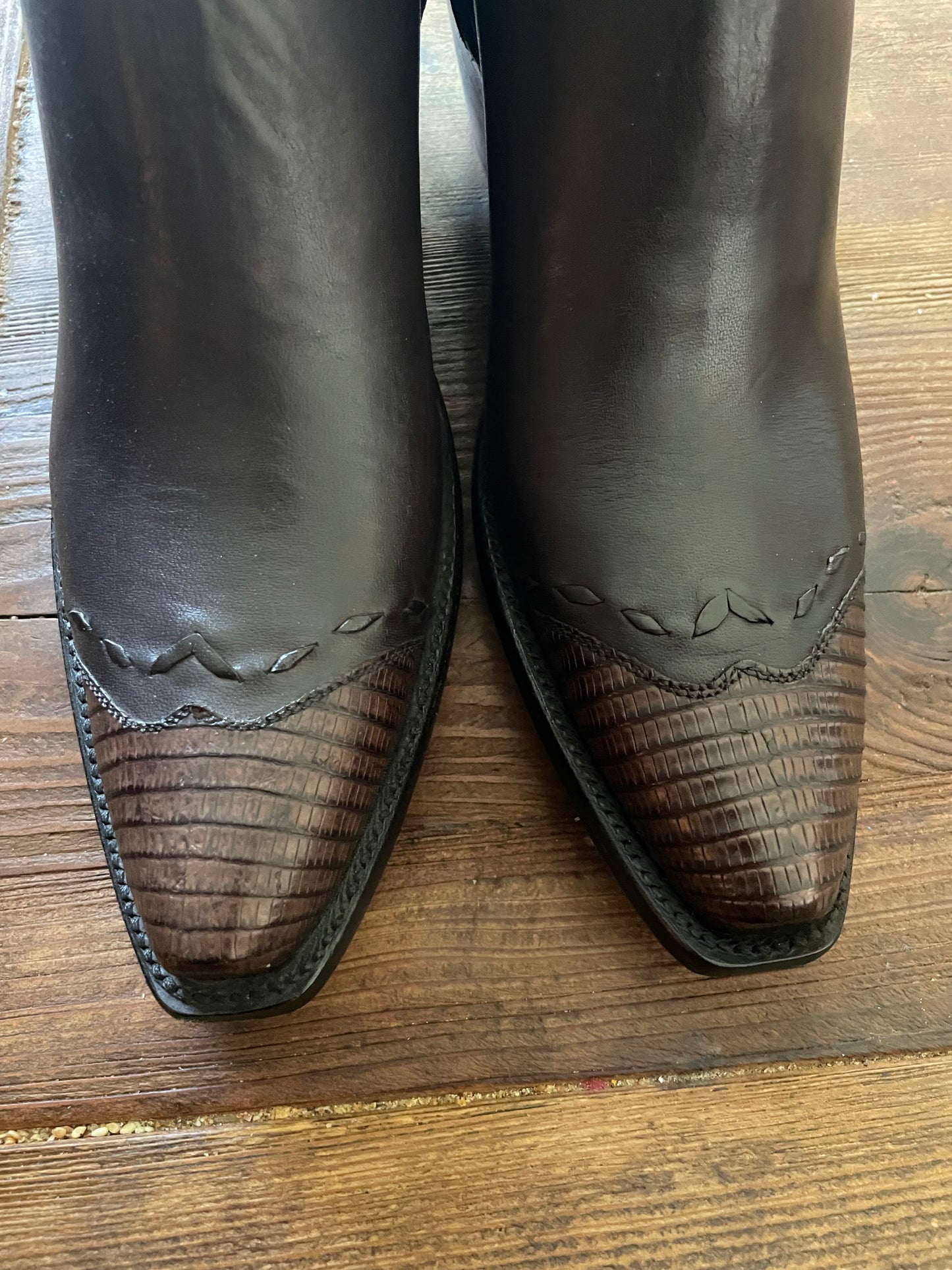 Cheval With Teju Lizard Zip in Chocolate