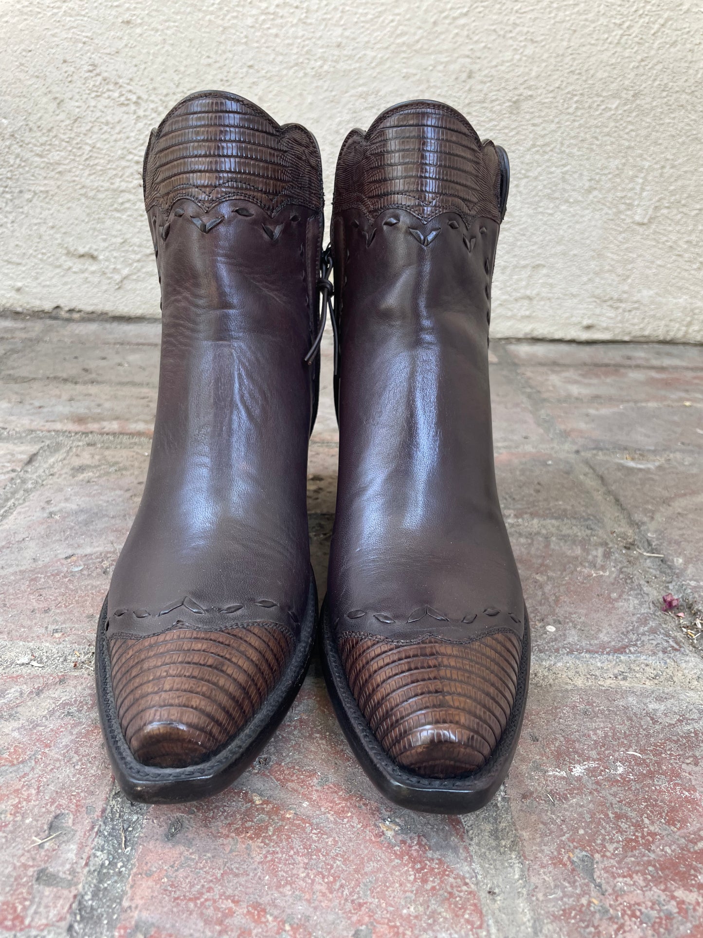 Cheval With Teju Lizard Zip in Chocolate