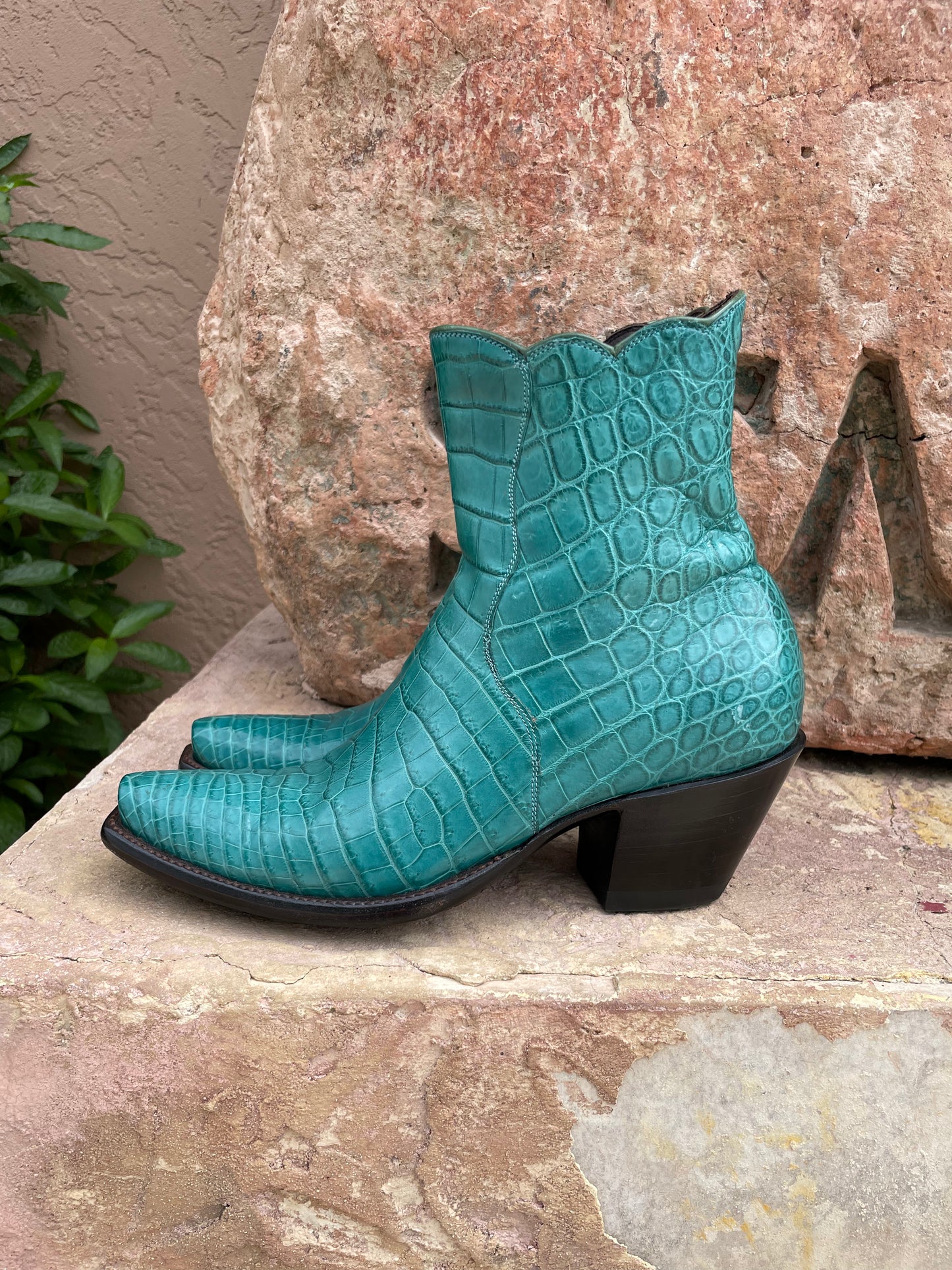 Turquoise American Alligator Belly ZG